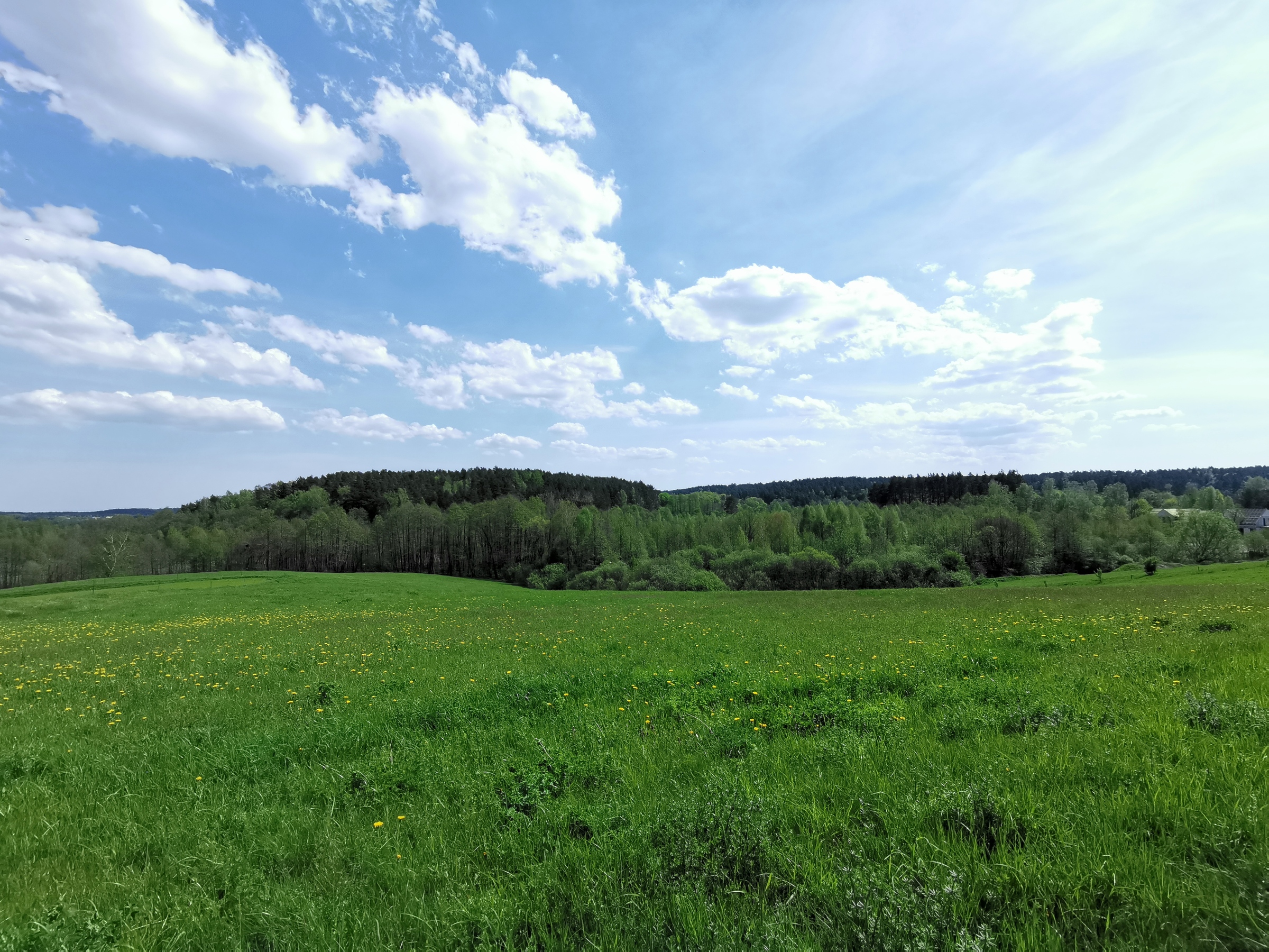 Wetter satt