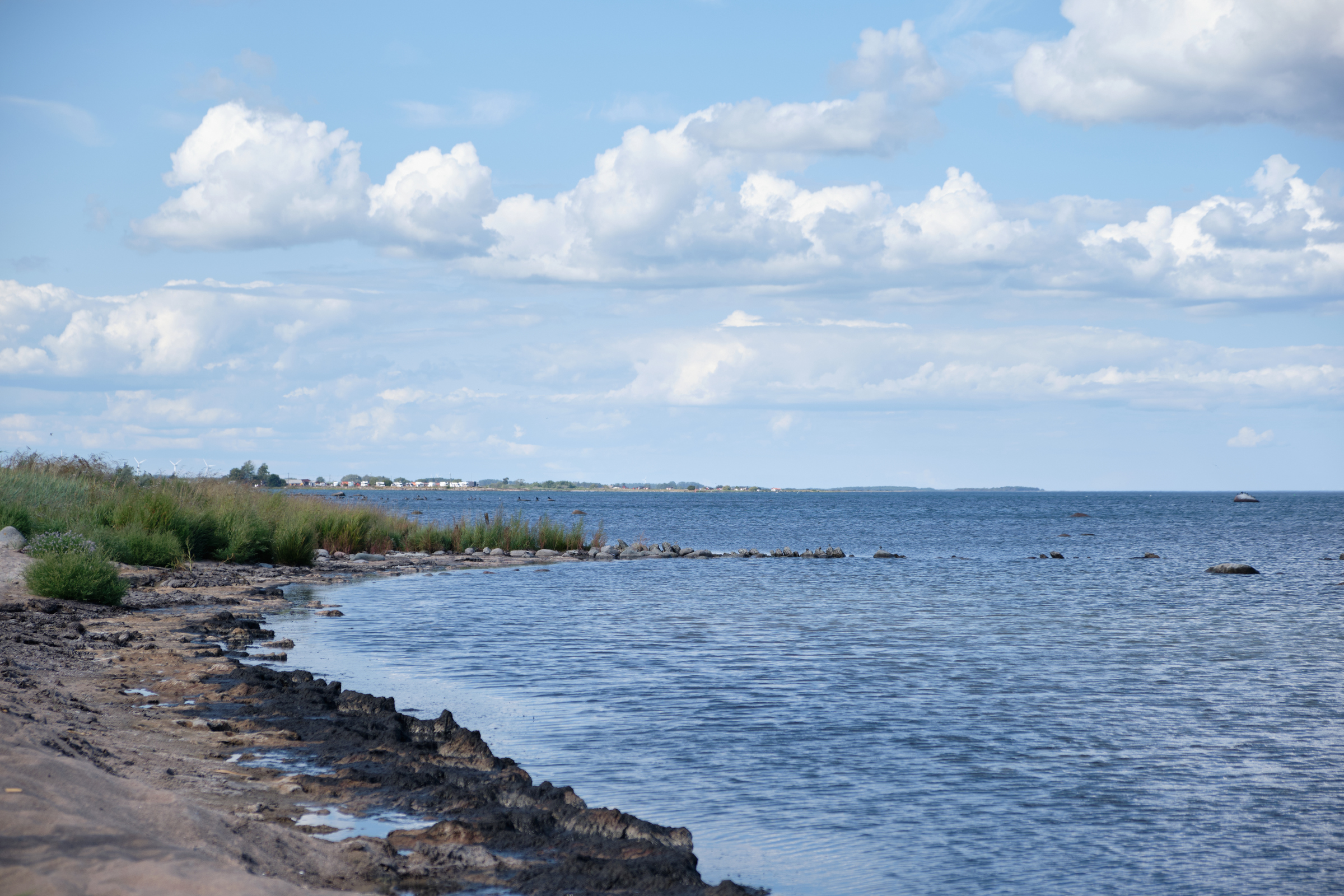 Beach View