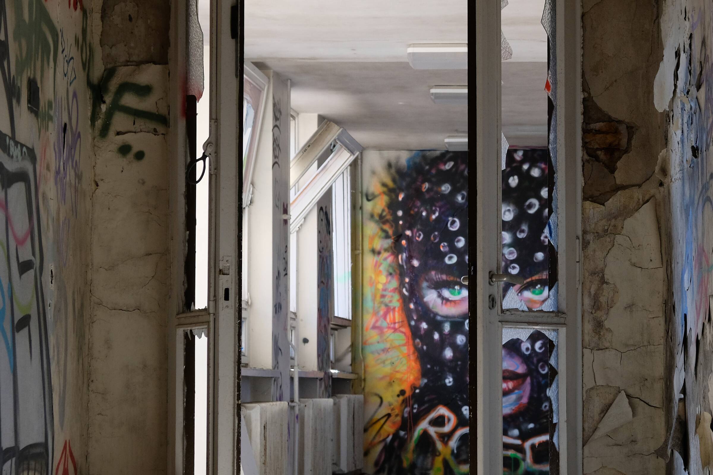 Institut für Anatomie