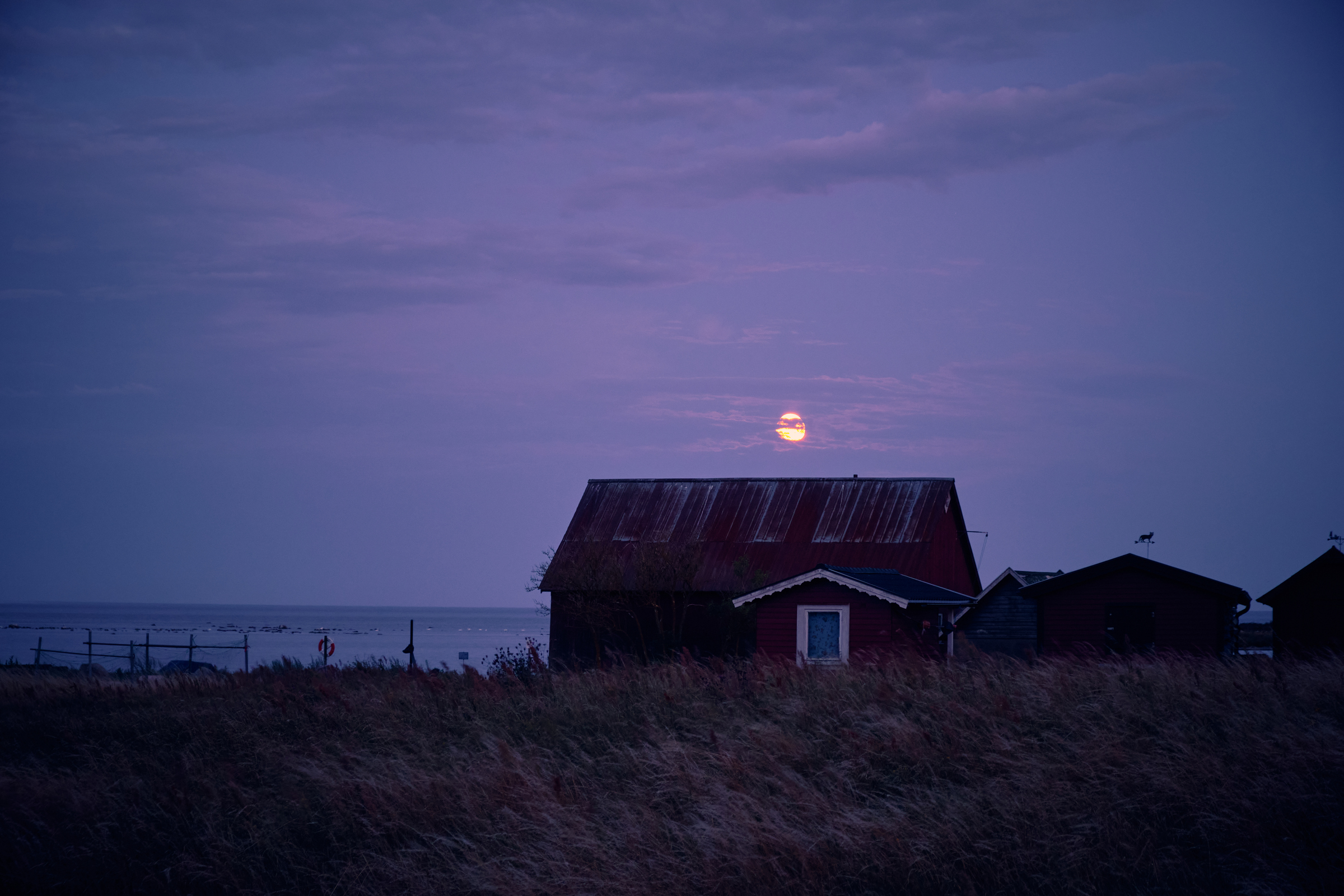 Evening Skies