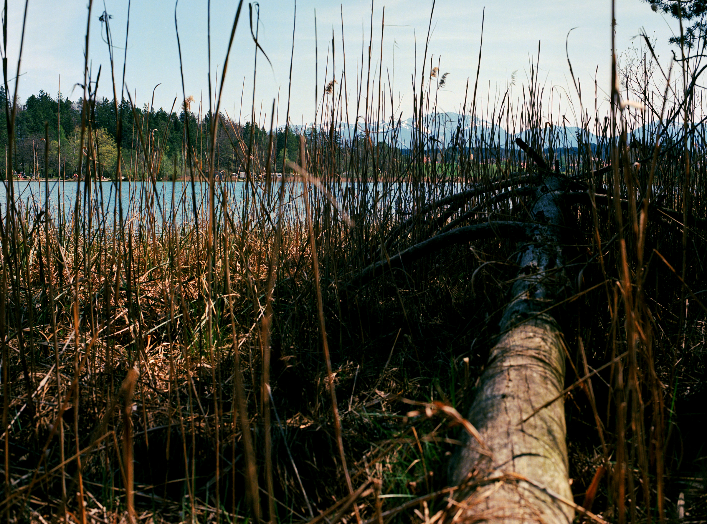 Osterseen