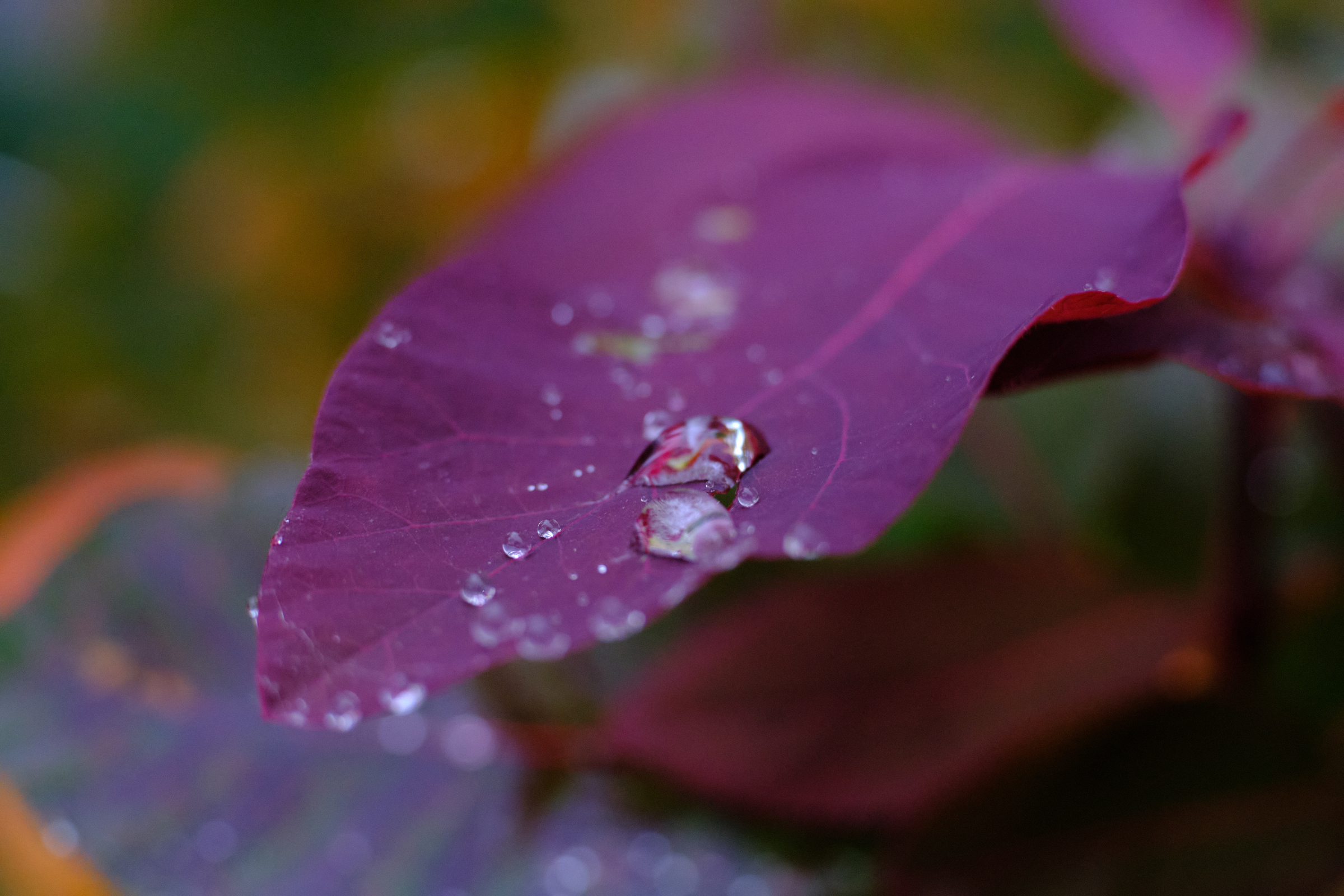 Waterdrops II