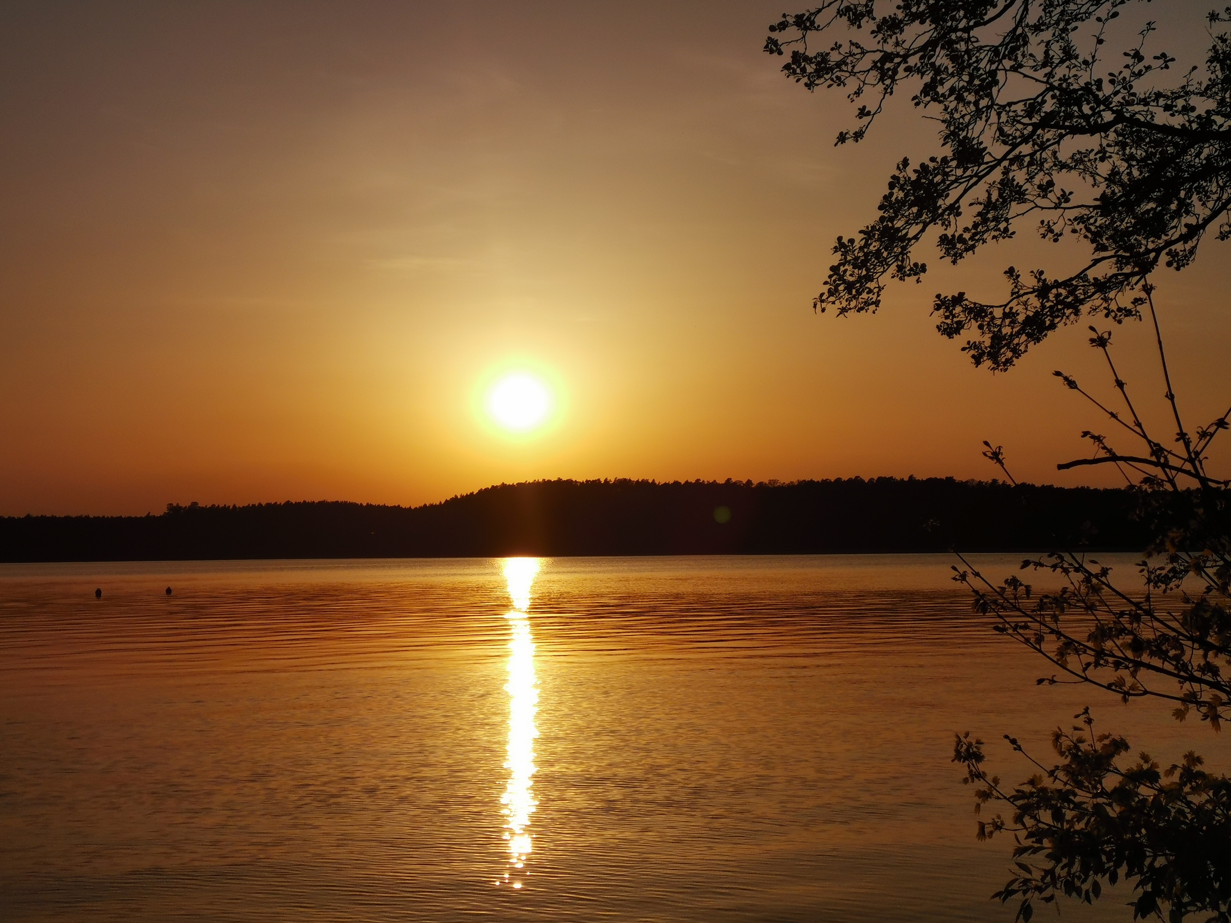 Sonne