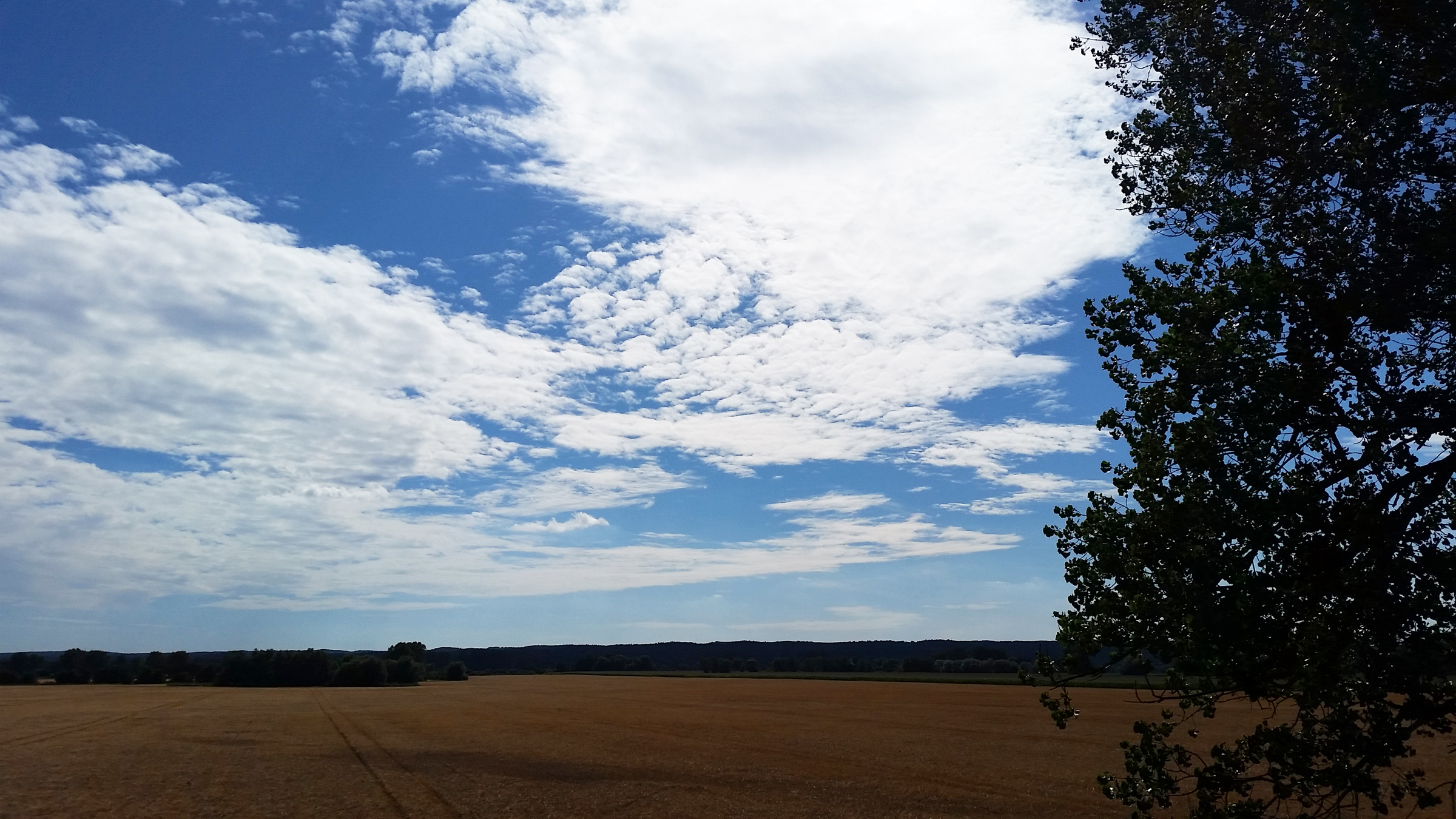 Im Oderbruch