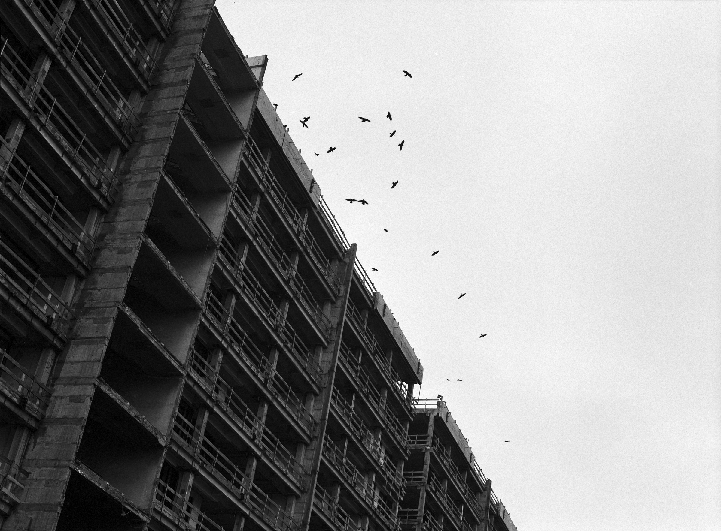 Rohbau
