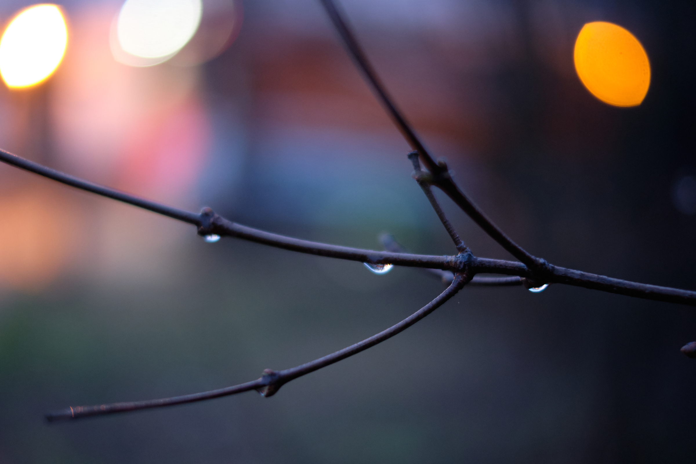 Lights & Drops