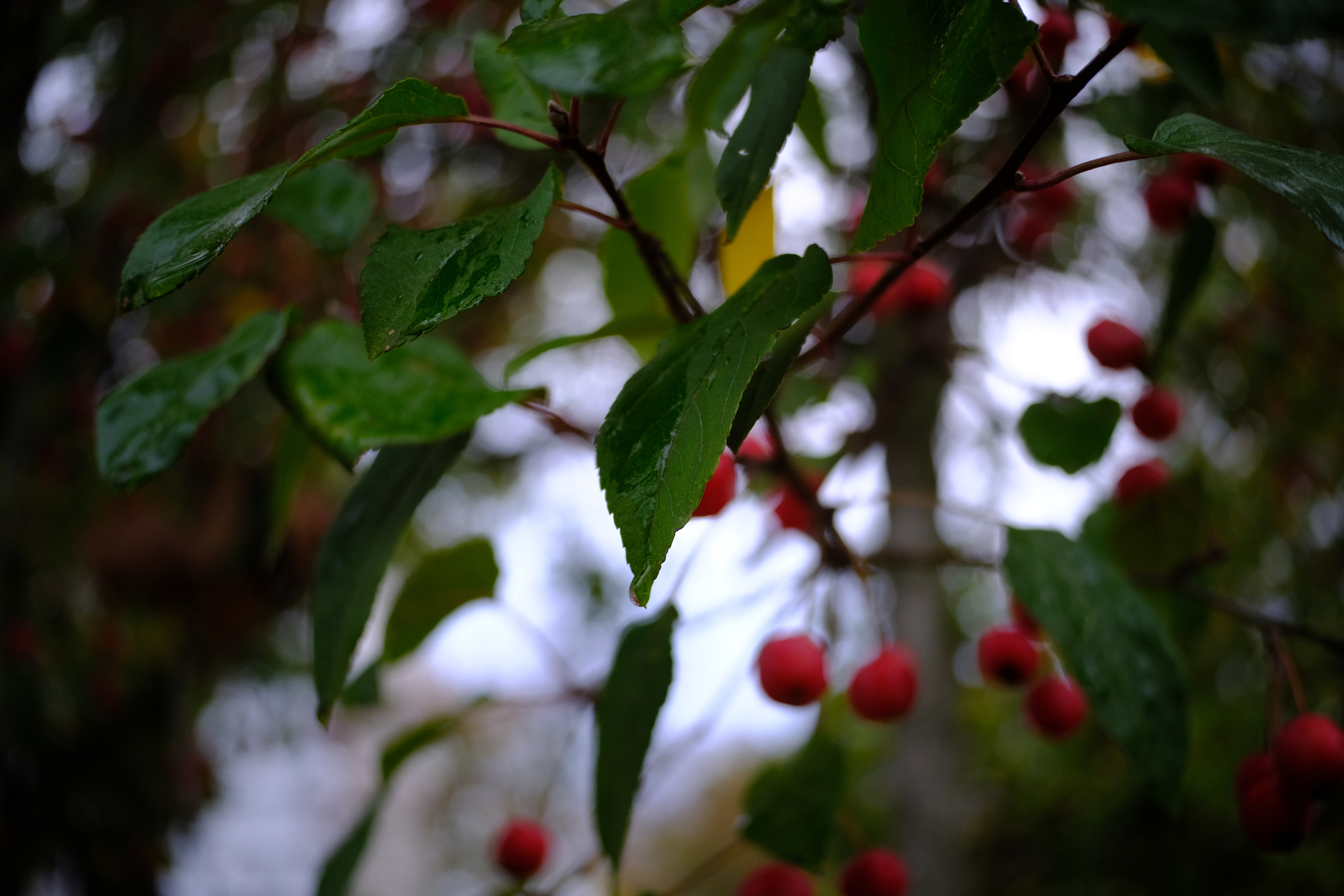 Out Of Focus