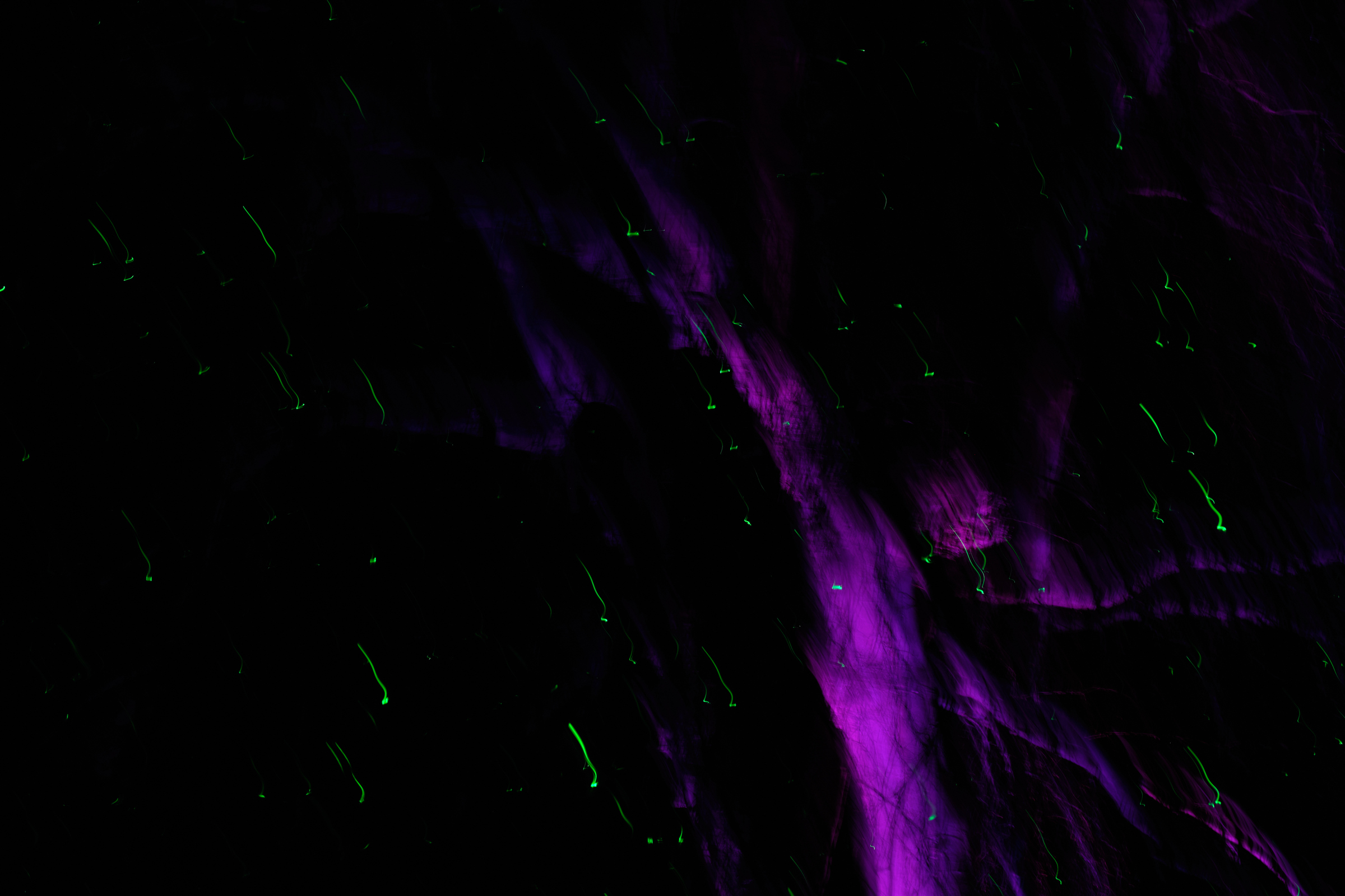 ICM Trees I