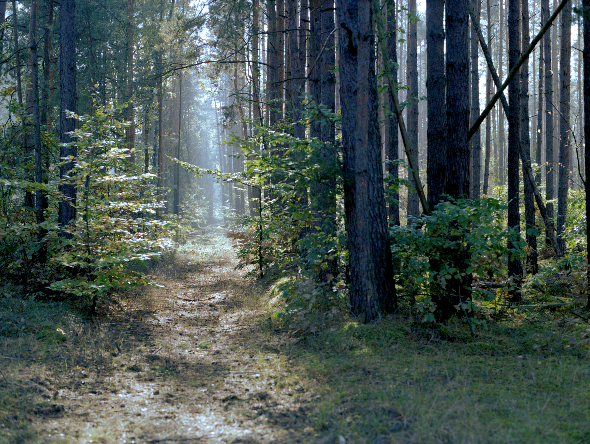 Leuchten am Weg