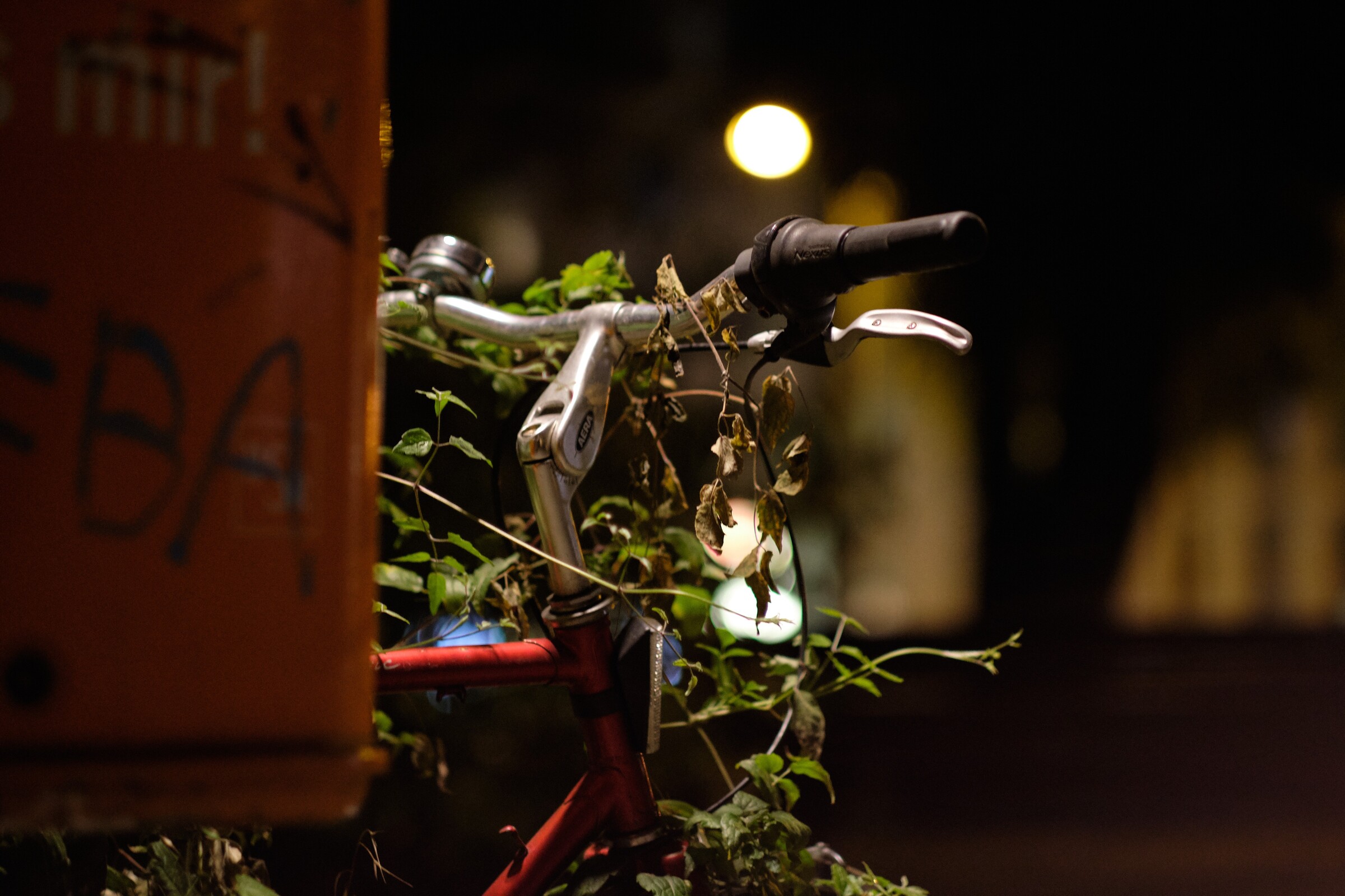 Collecting Plants