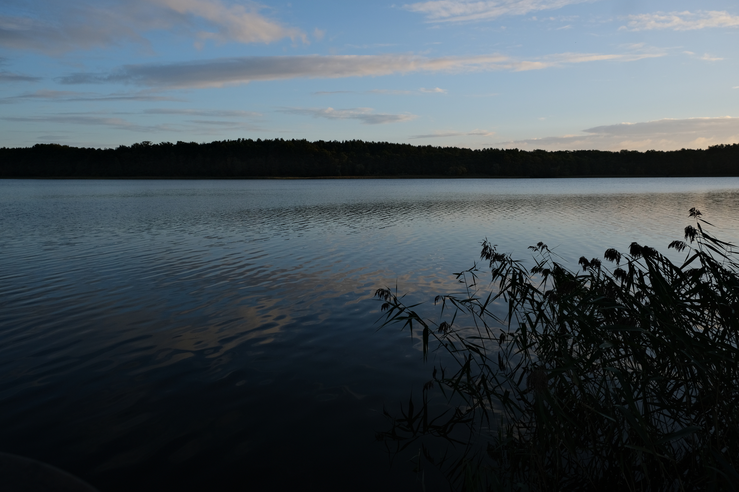 leichte Wellen