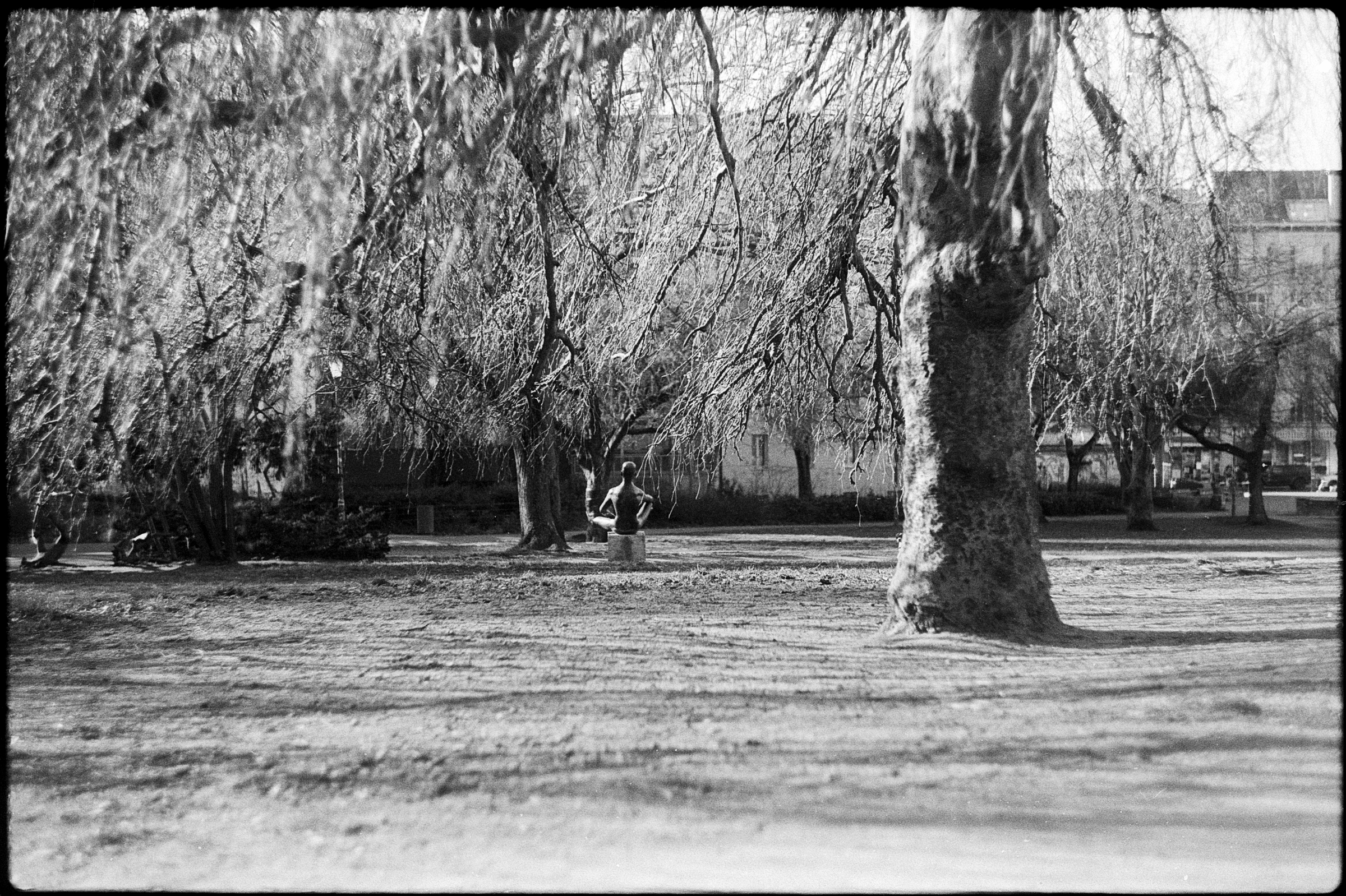 Sitting In The Park