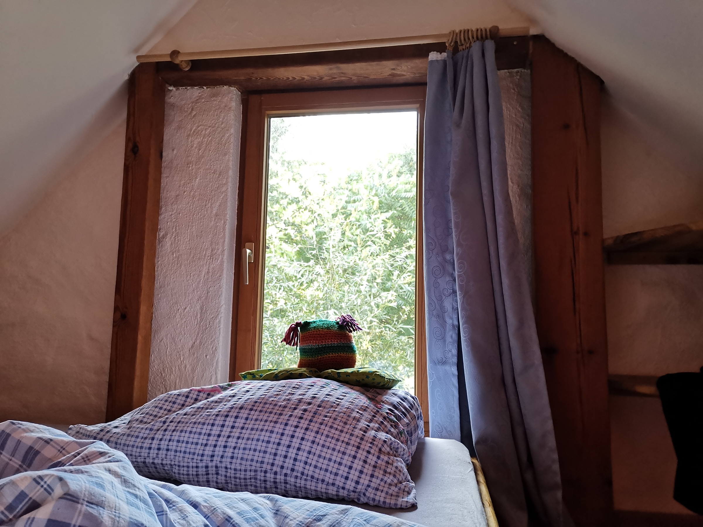 Walli am Fenster