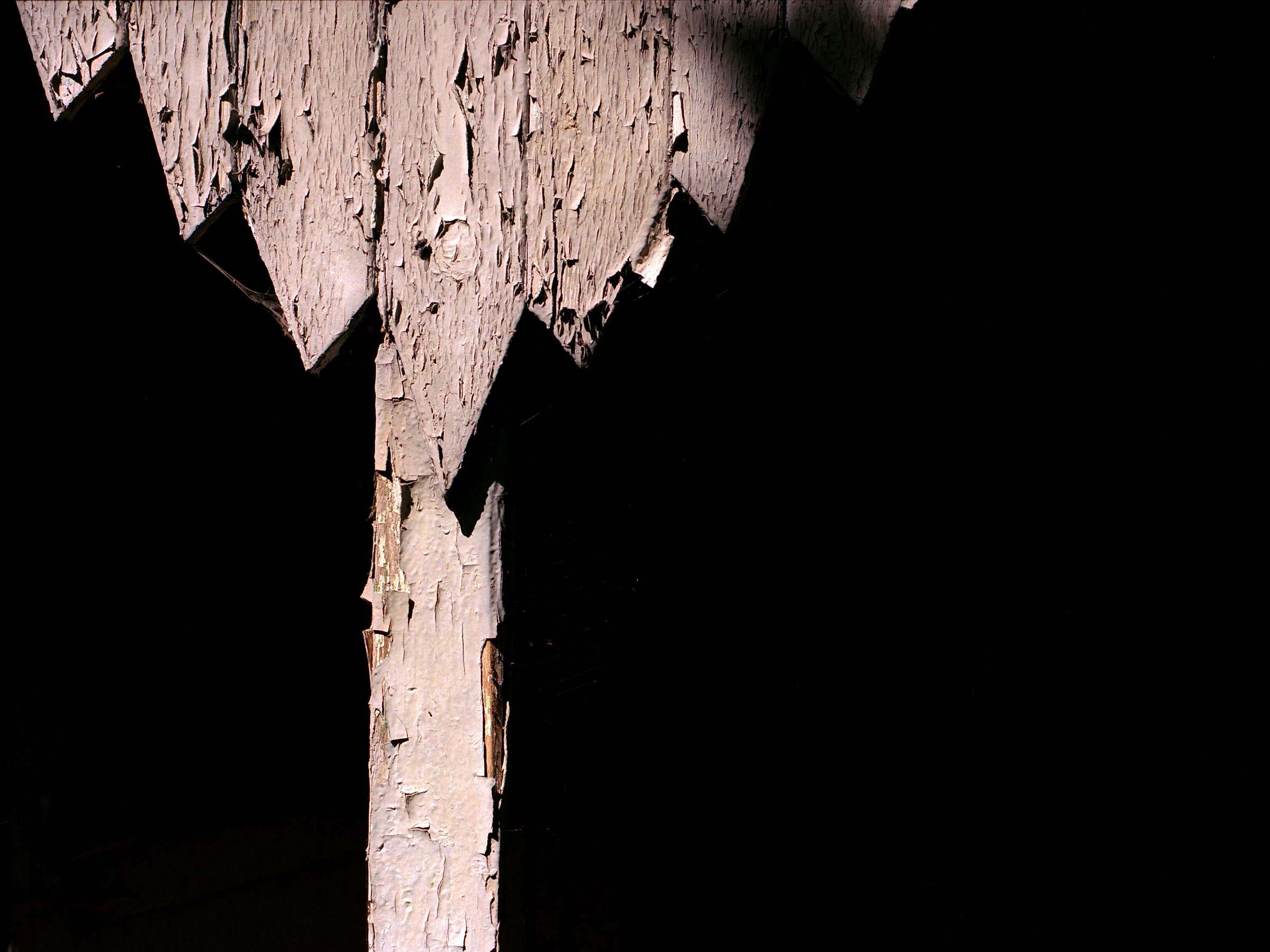 Holz