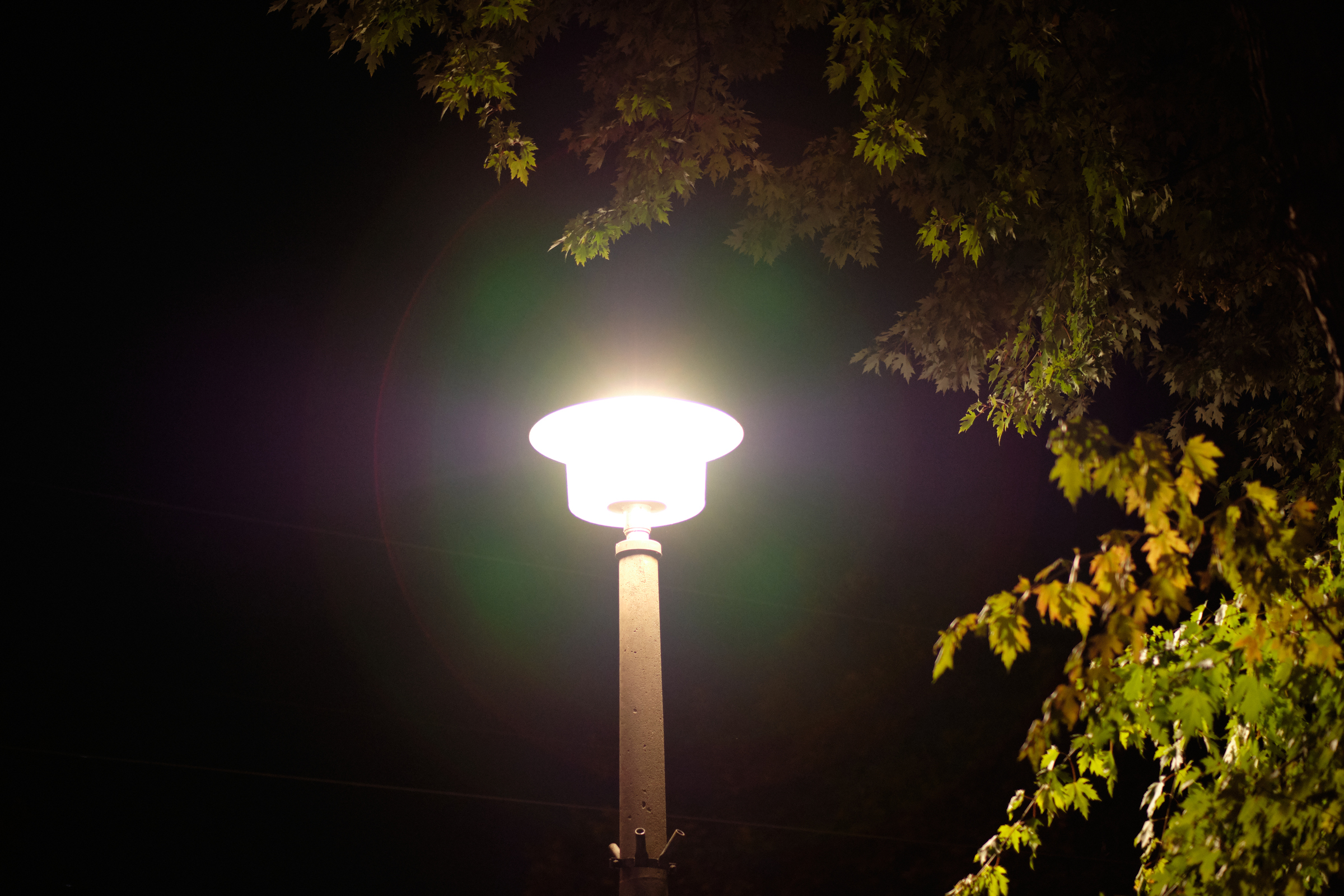 Shining Light
