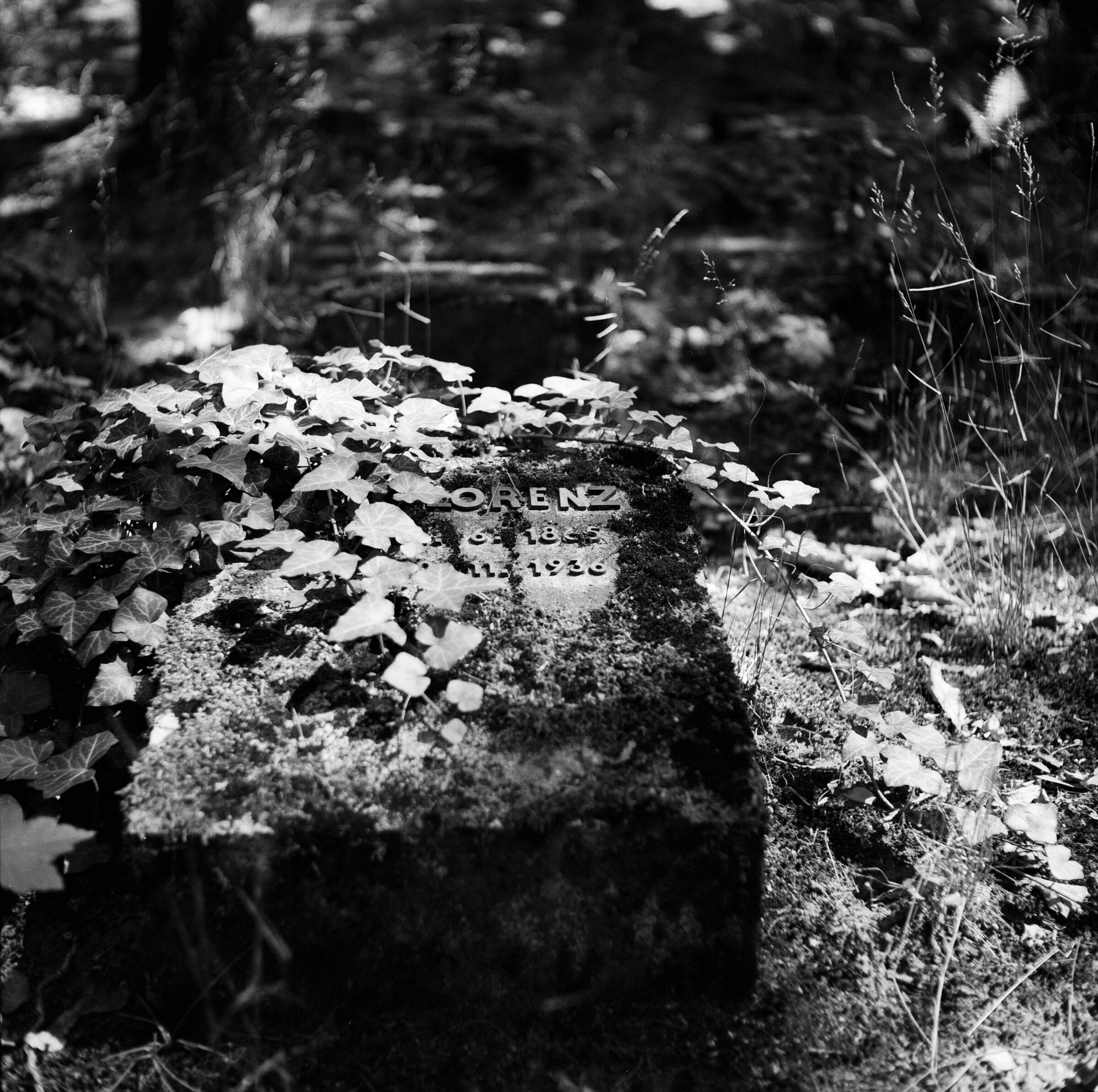 Jüdischer Friedhof Weissensee