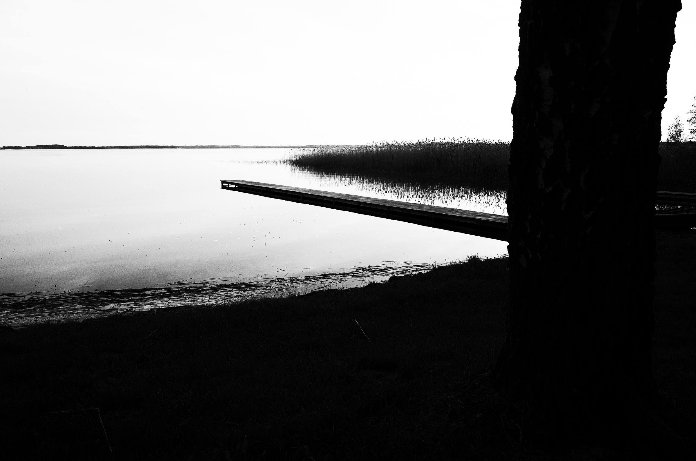 Weg aufs Wasser