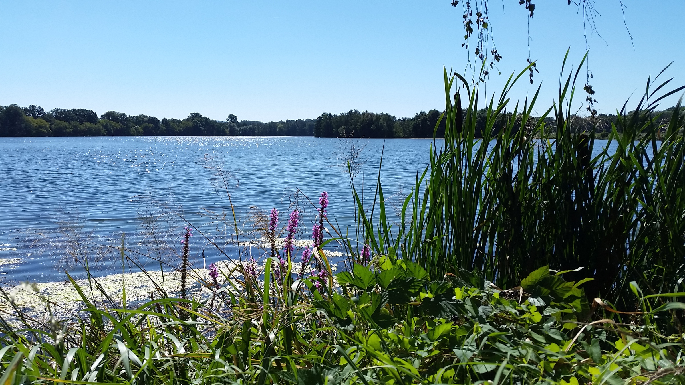 Weitblick CM