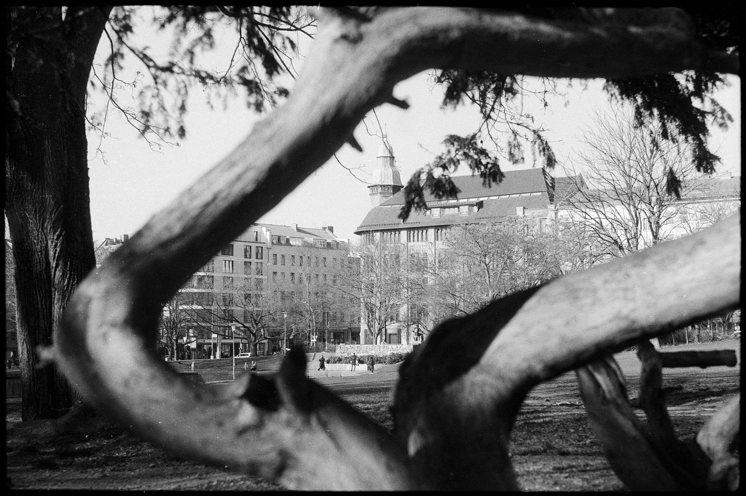 Natural Framing