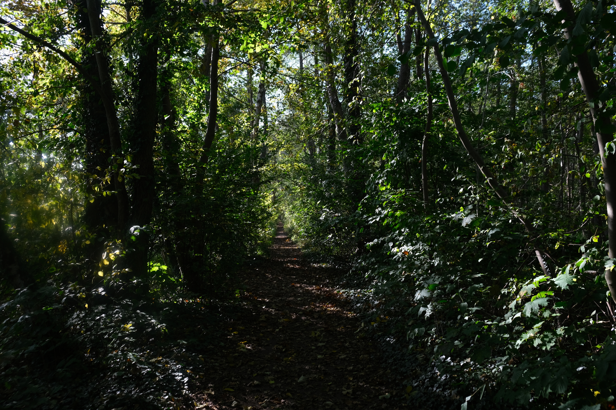 unser Weg