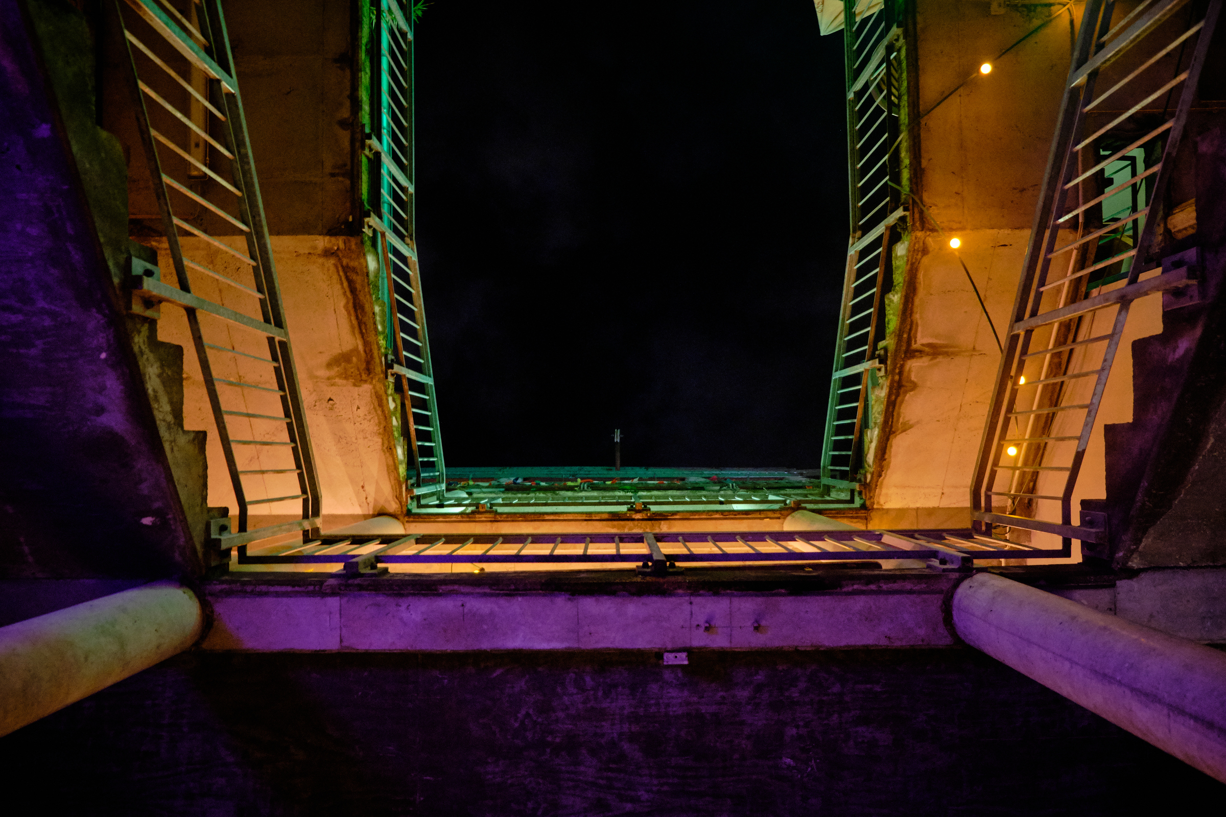 Neon Lights III