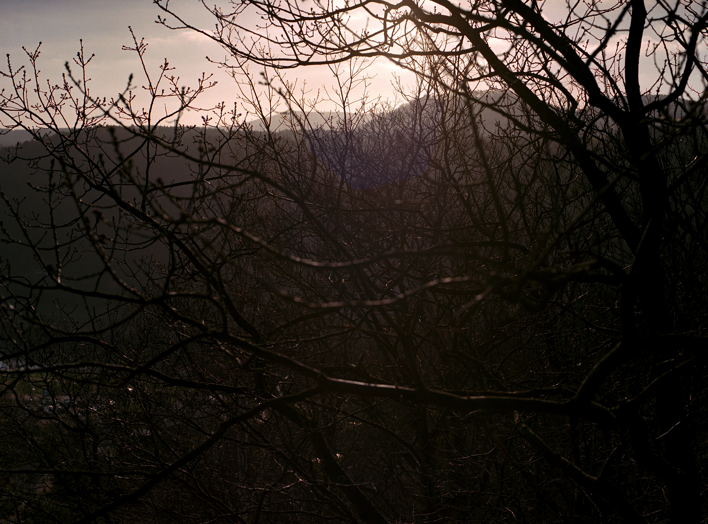 Fernblick