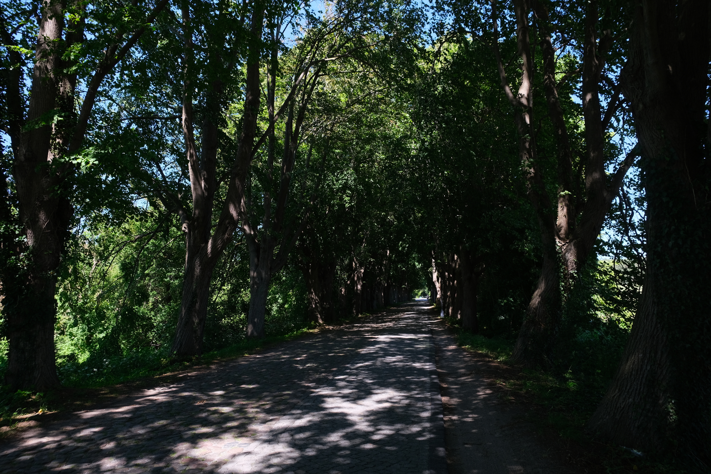 ein Weg 
