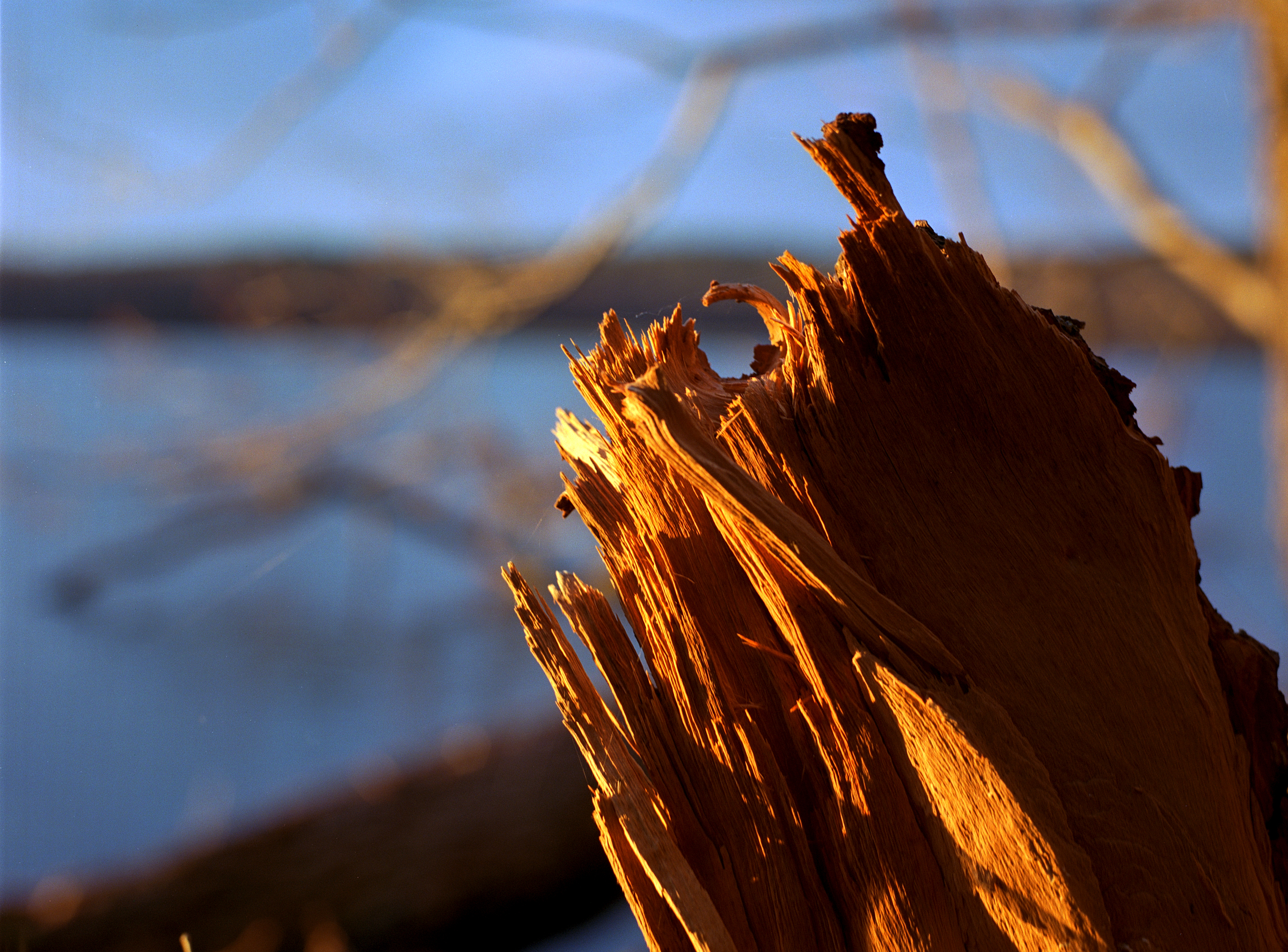 Sonne und Holz