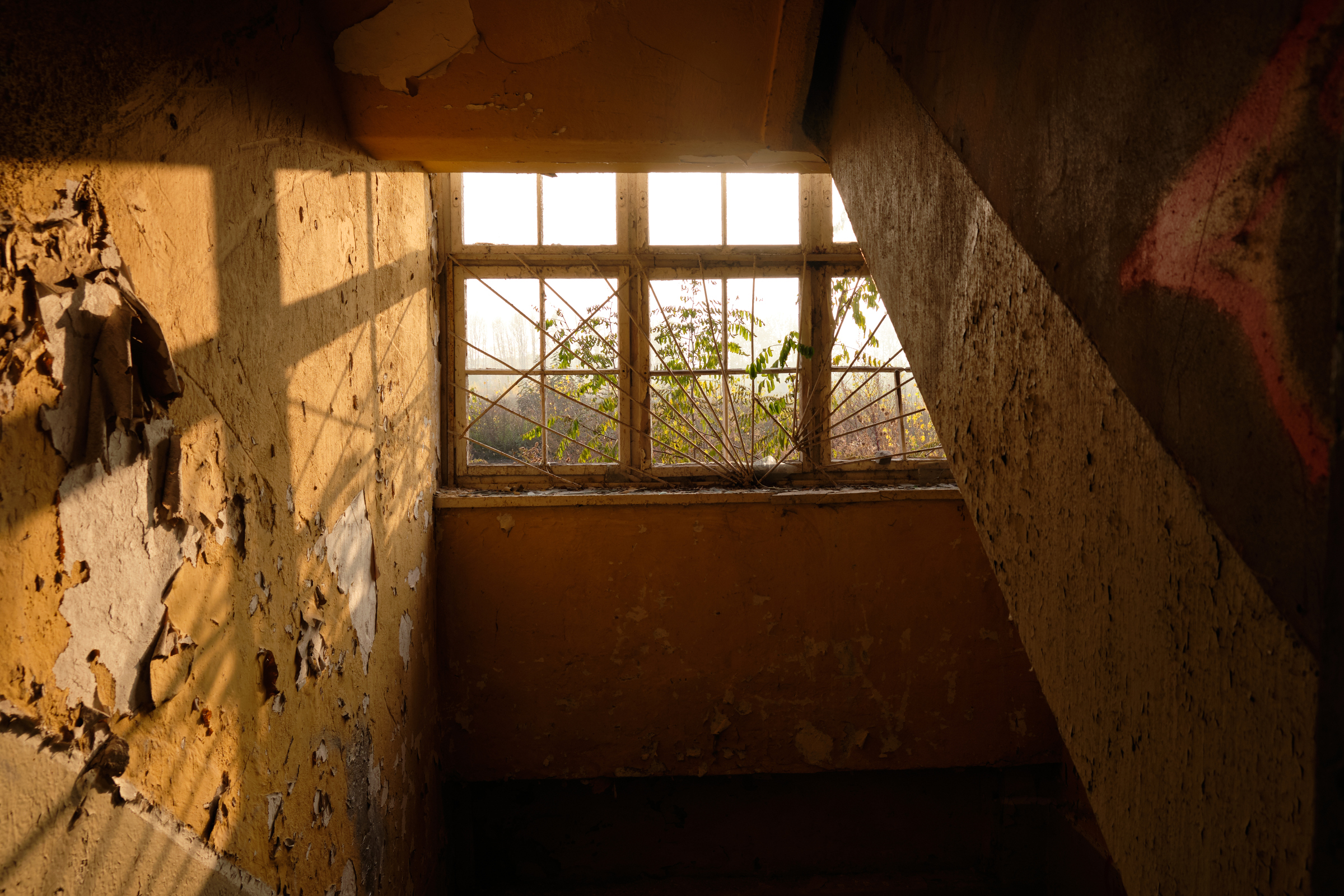 Through the Windows II