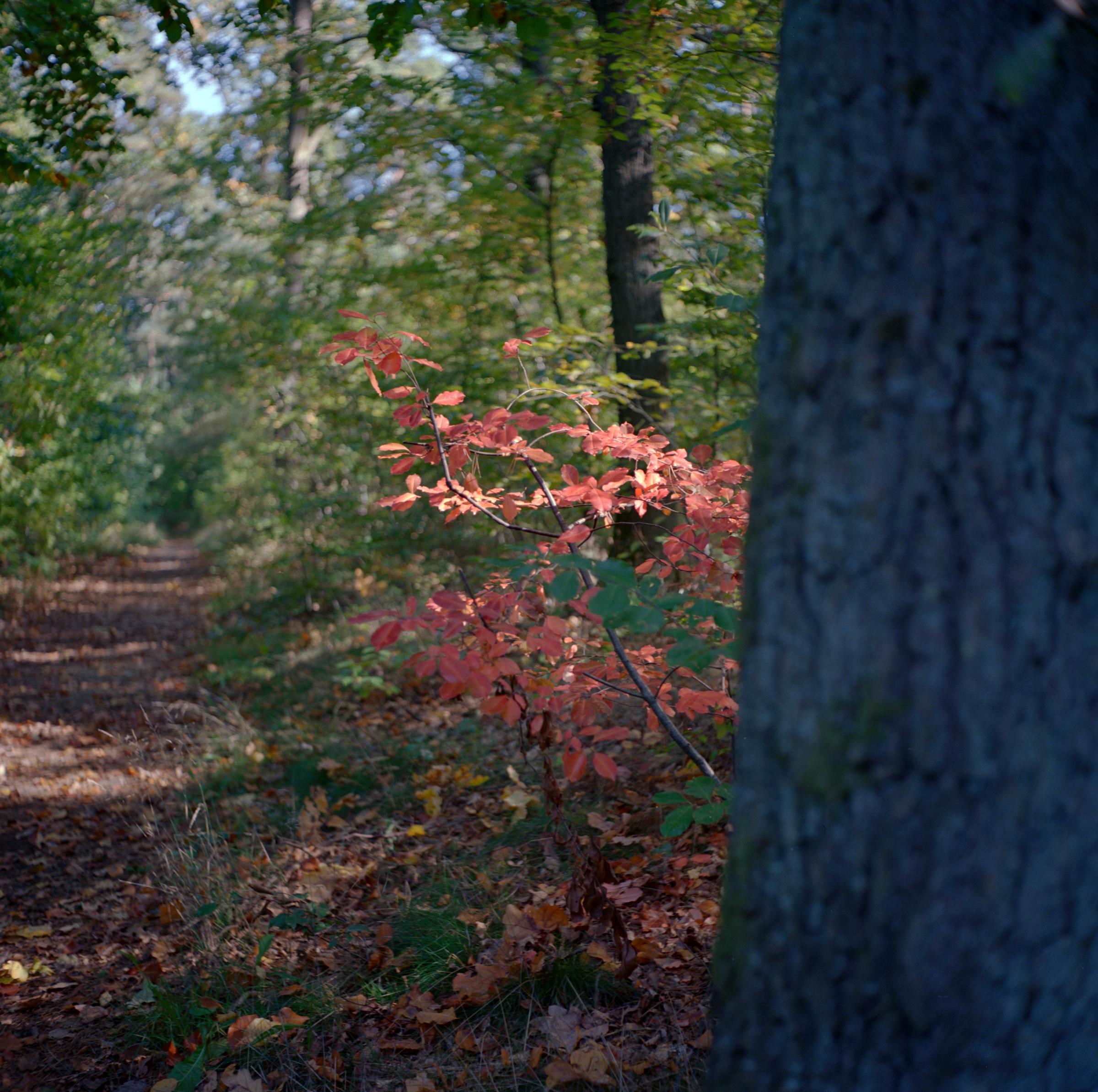 Farben am Weg