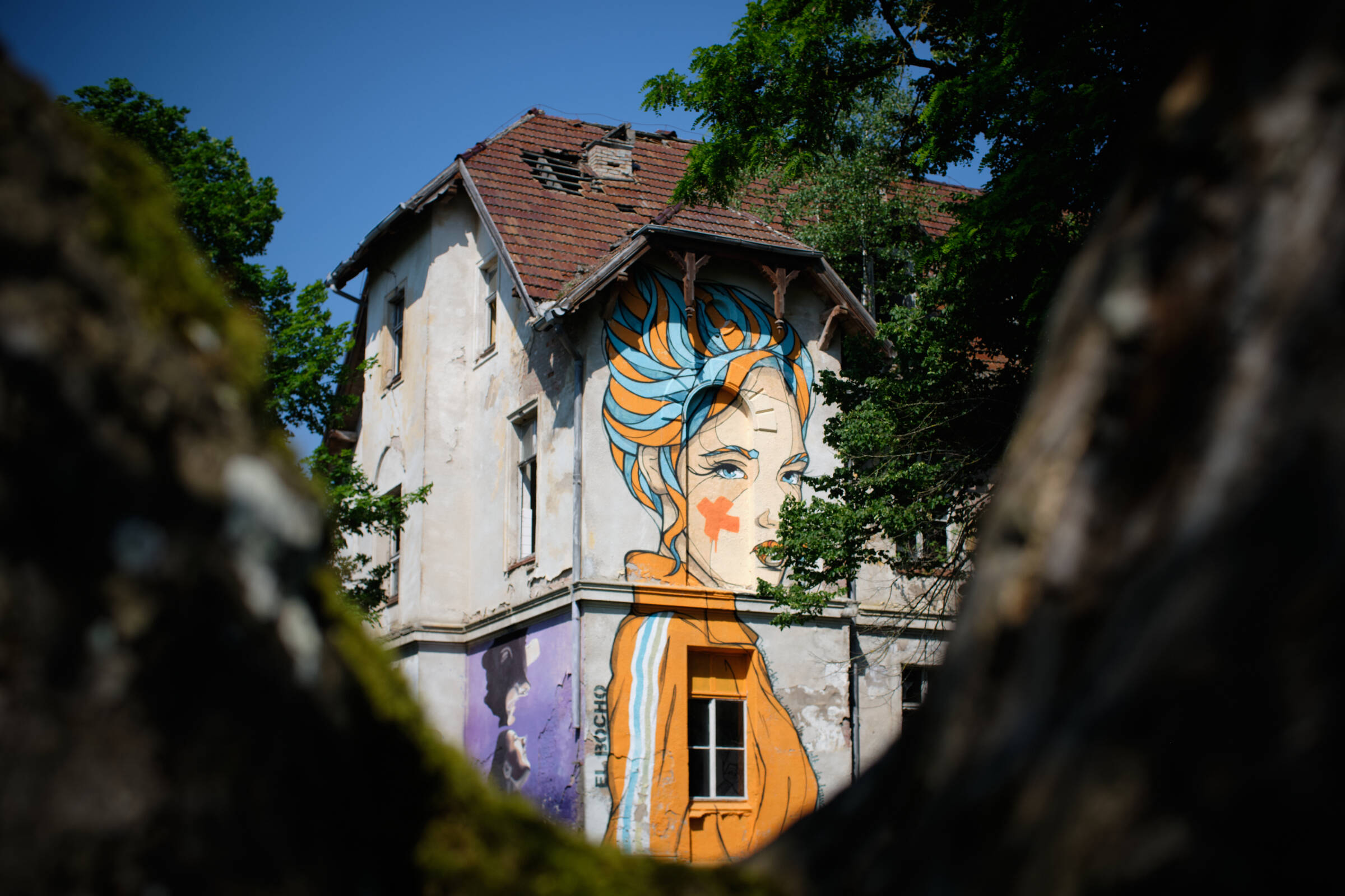 Landesirrenanstalt Domjüch