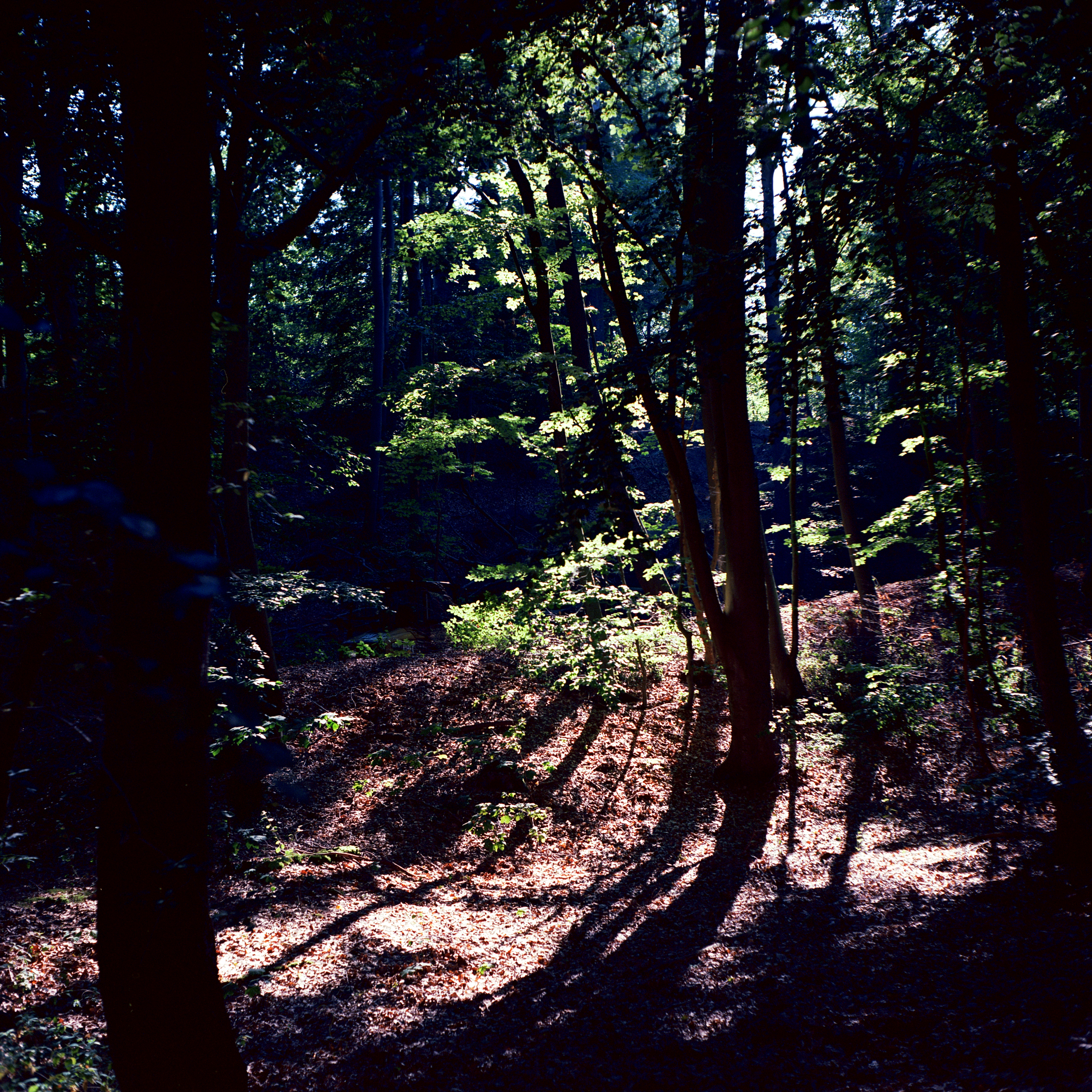 Schattenspiel