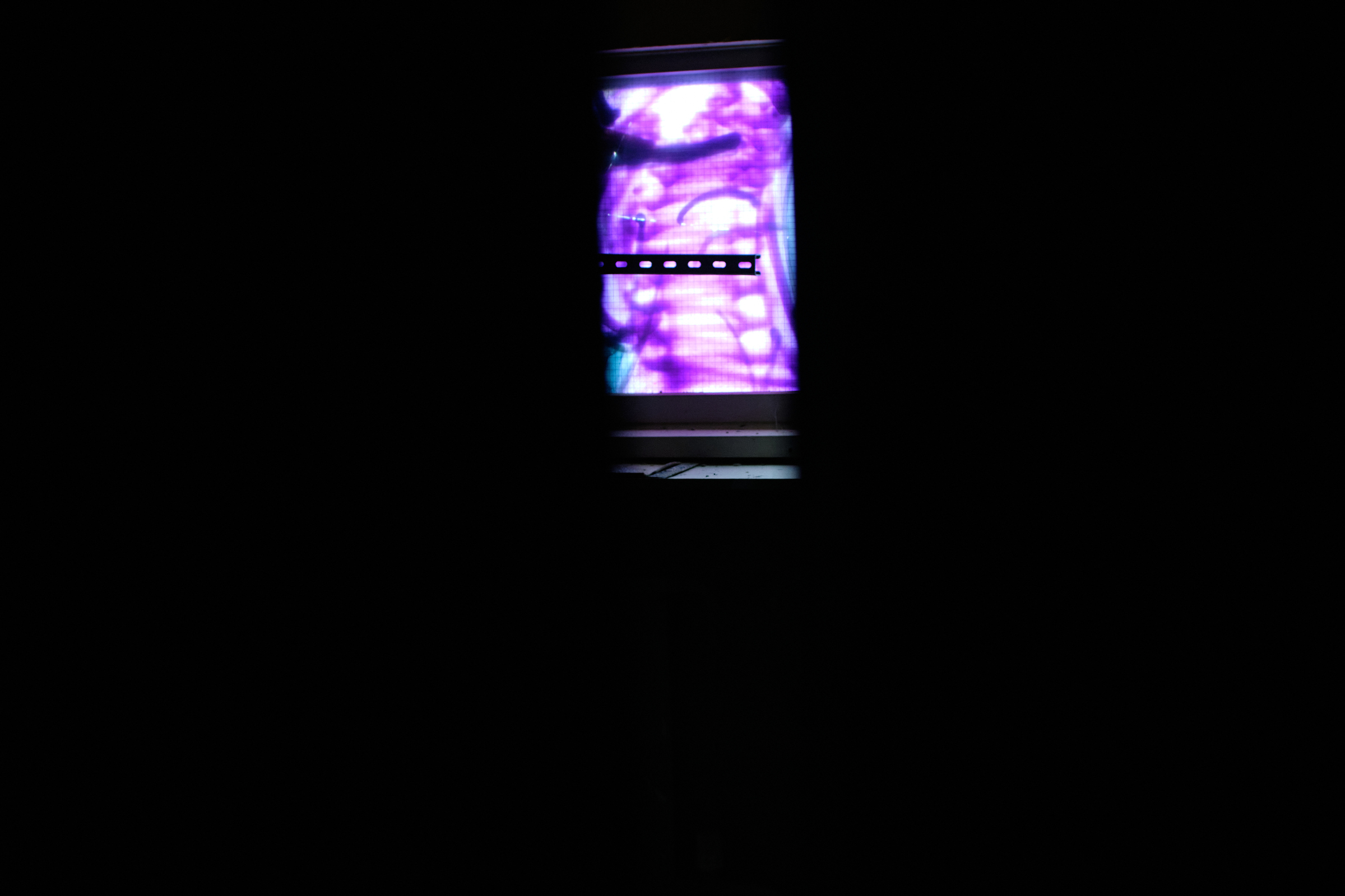 Darkness & Purple