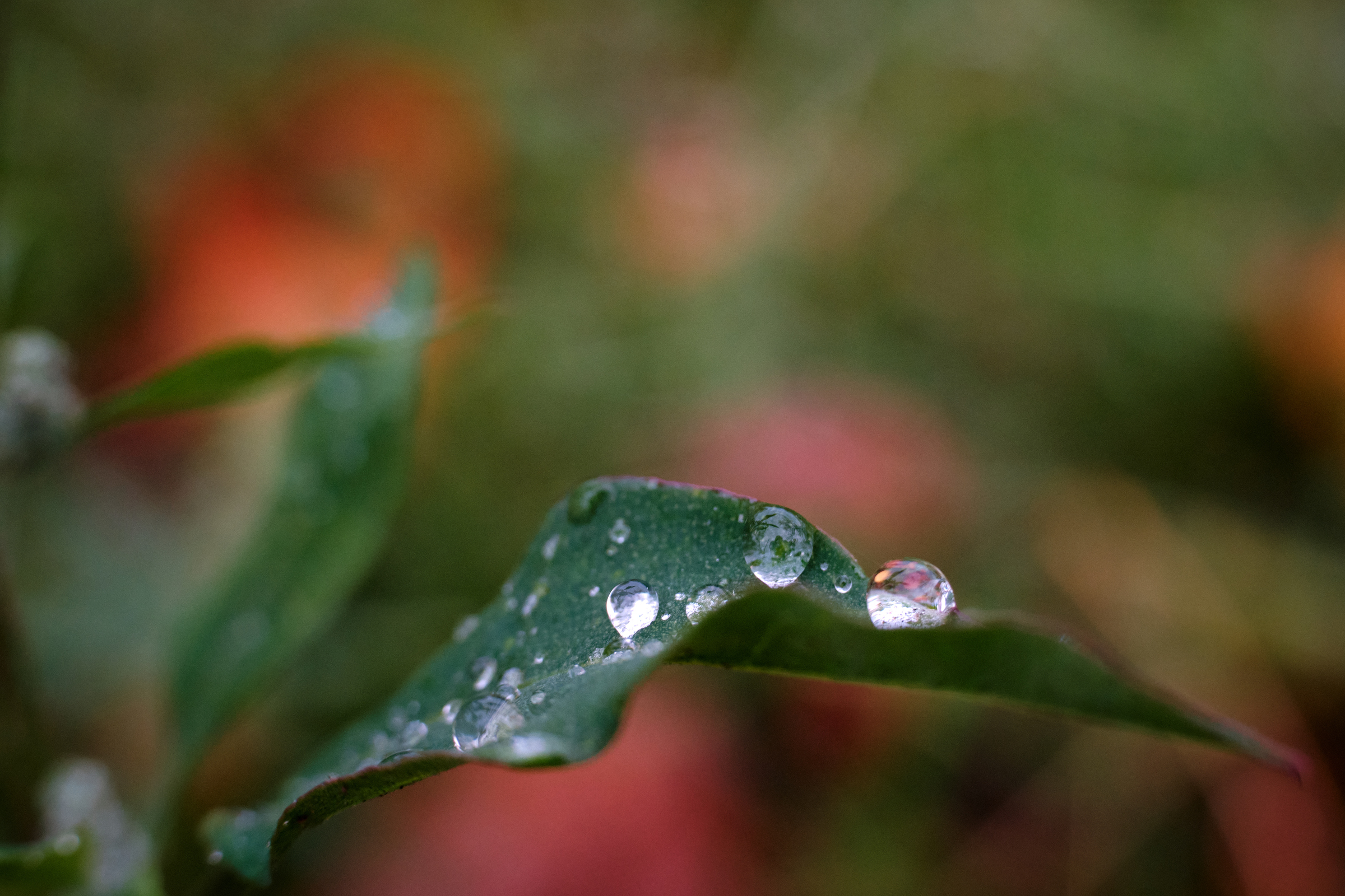 Waterdrops I