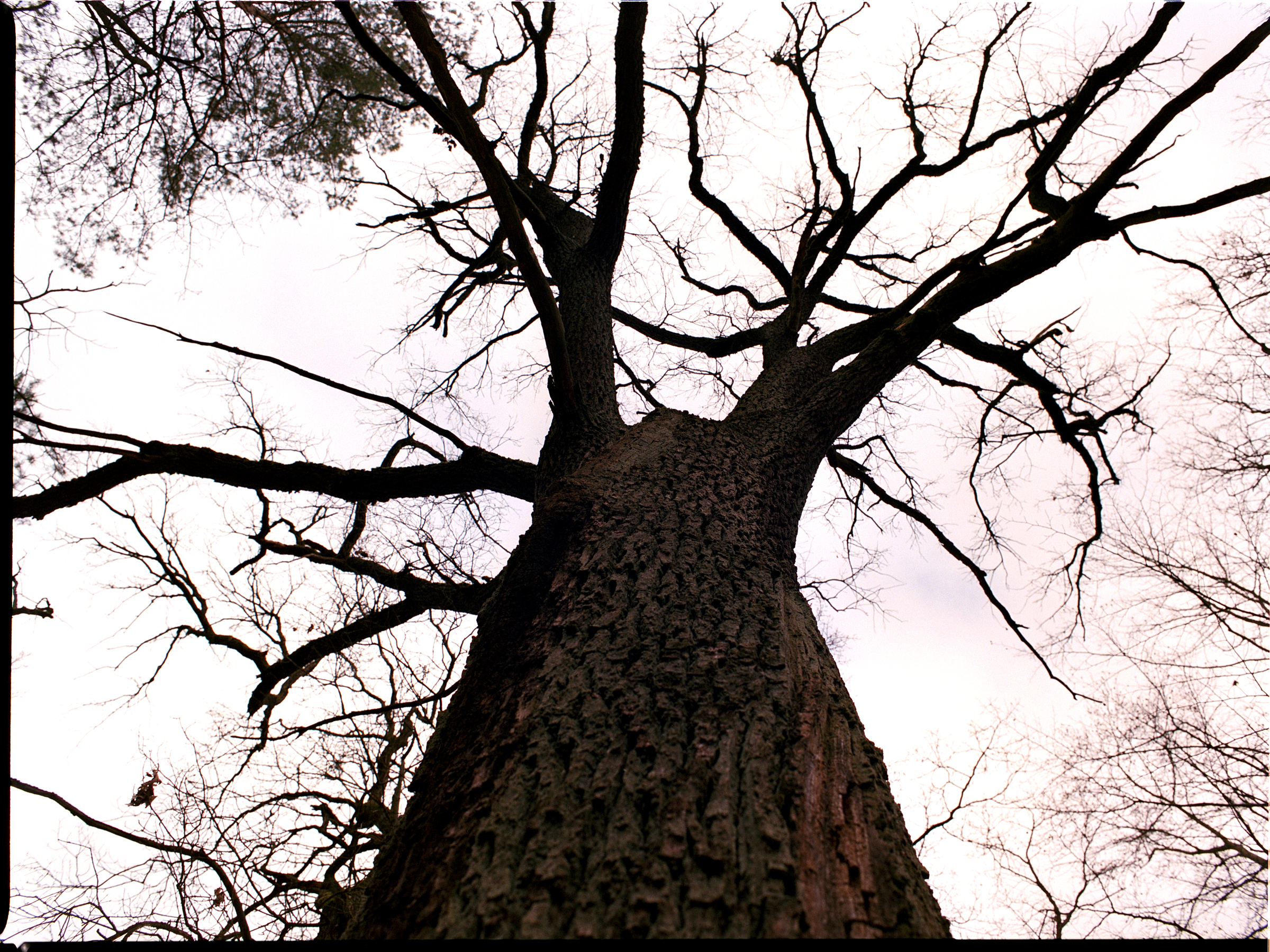Müggelberge MB