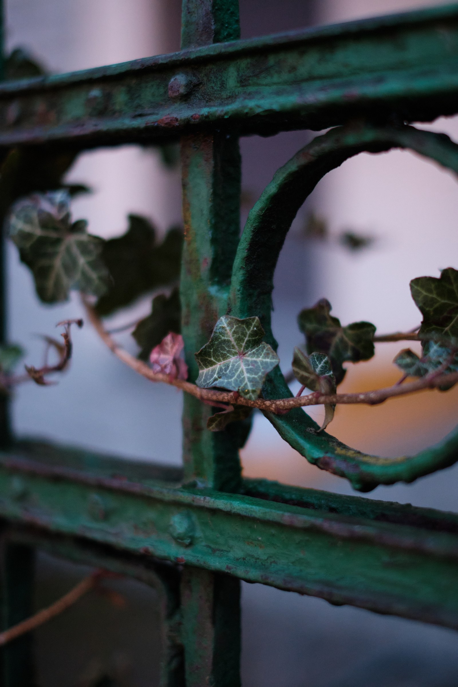 On The Fence I