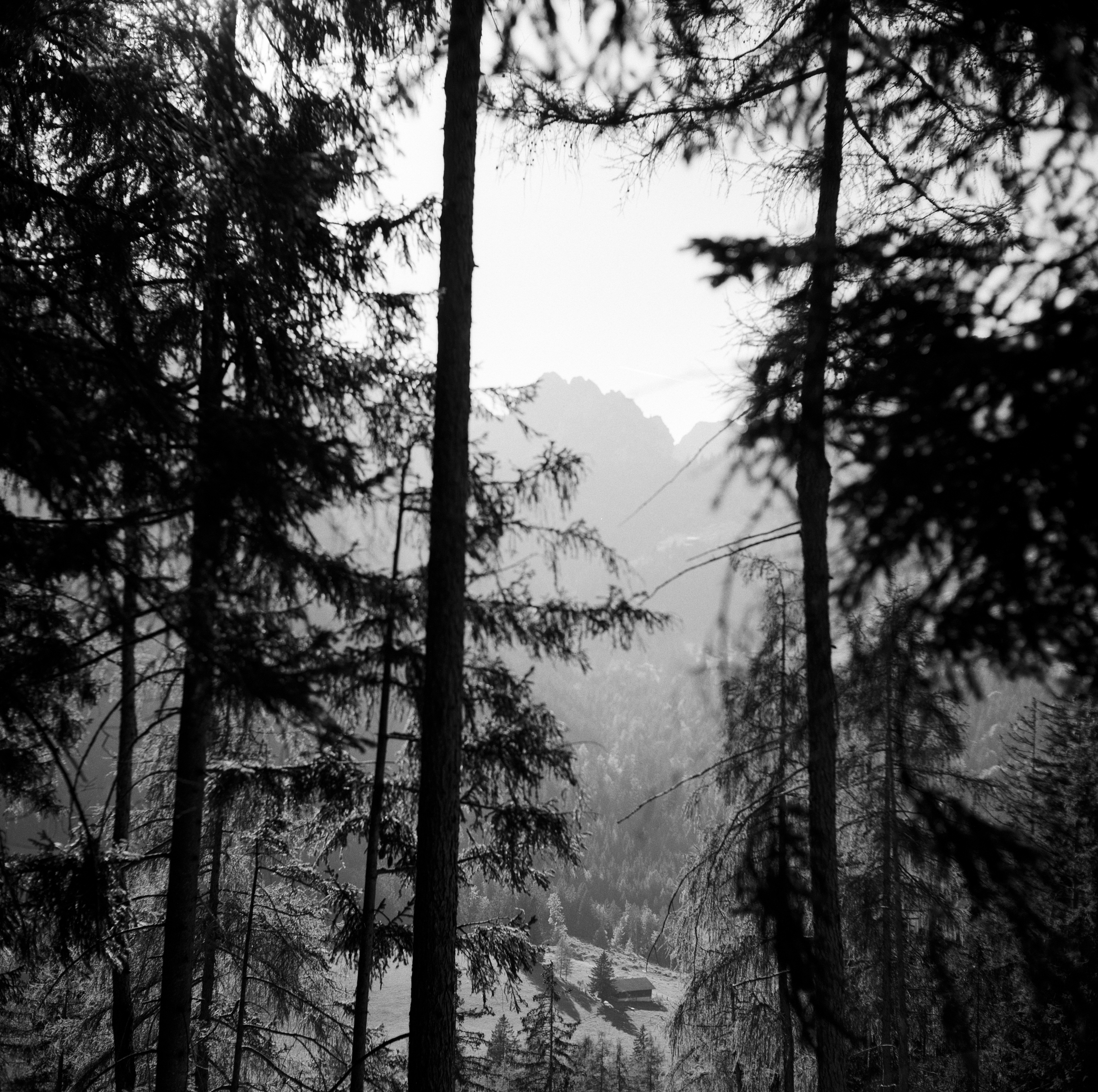 Almblick
