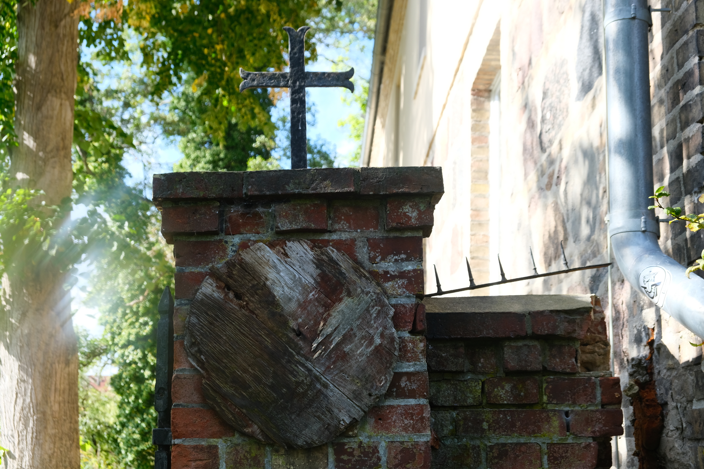 Holzscheibe