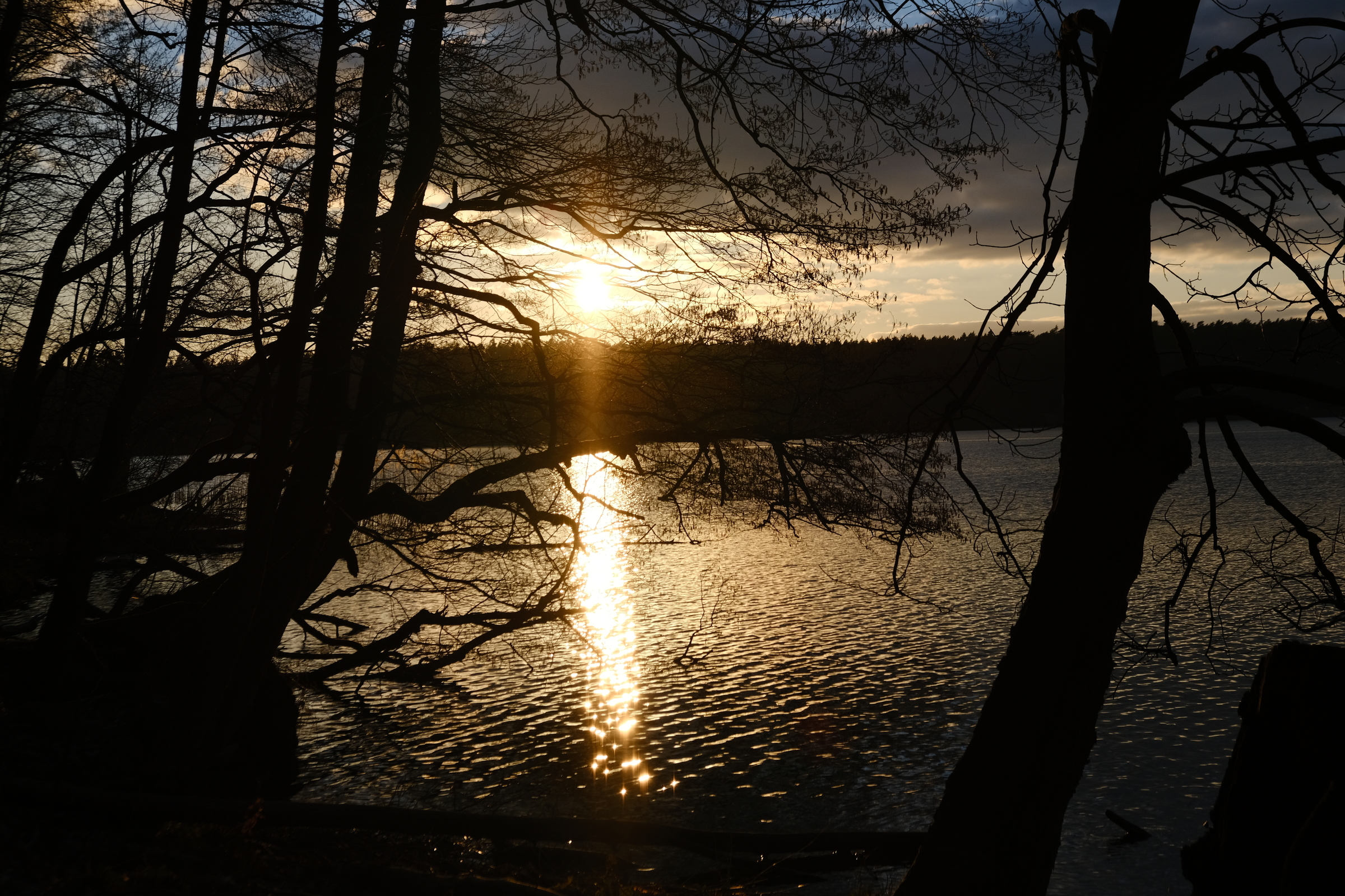 Joachimsthal