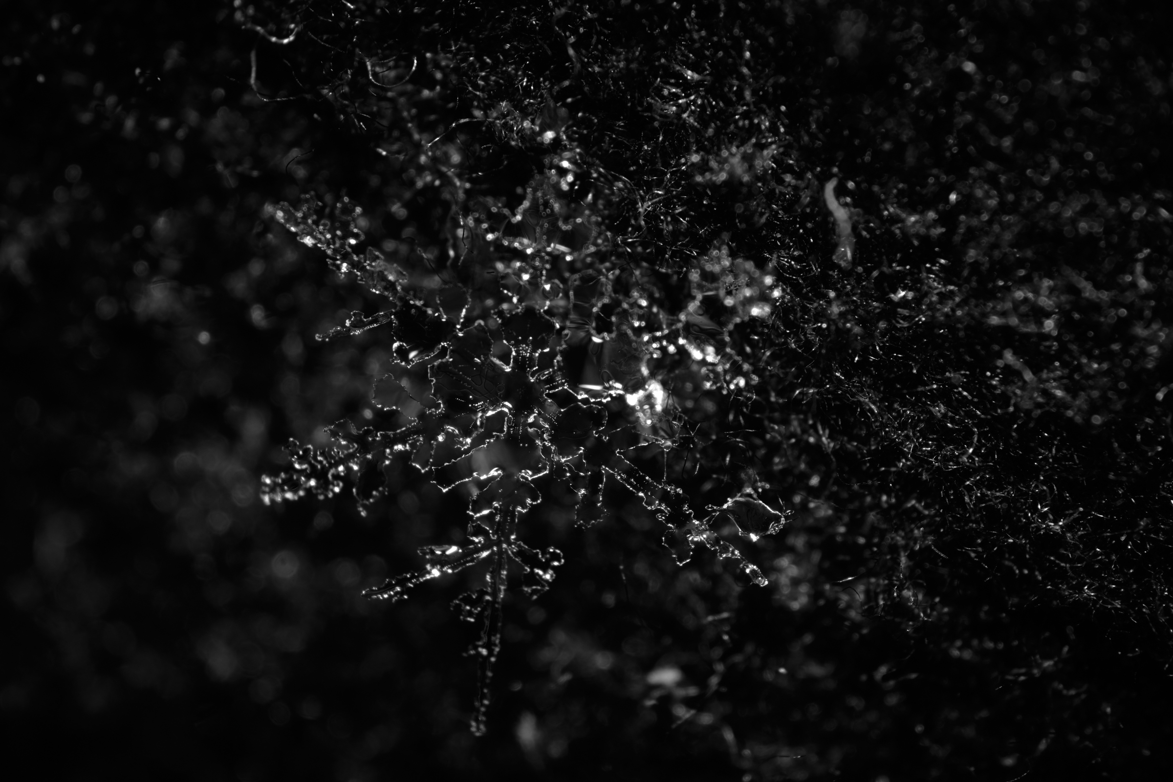 B&W I