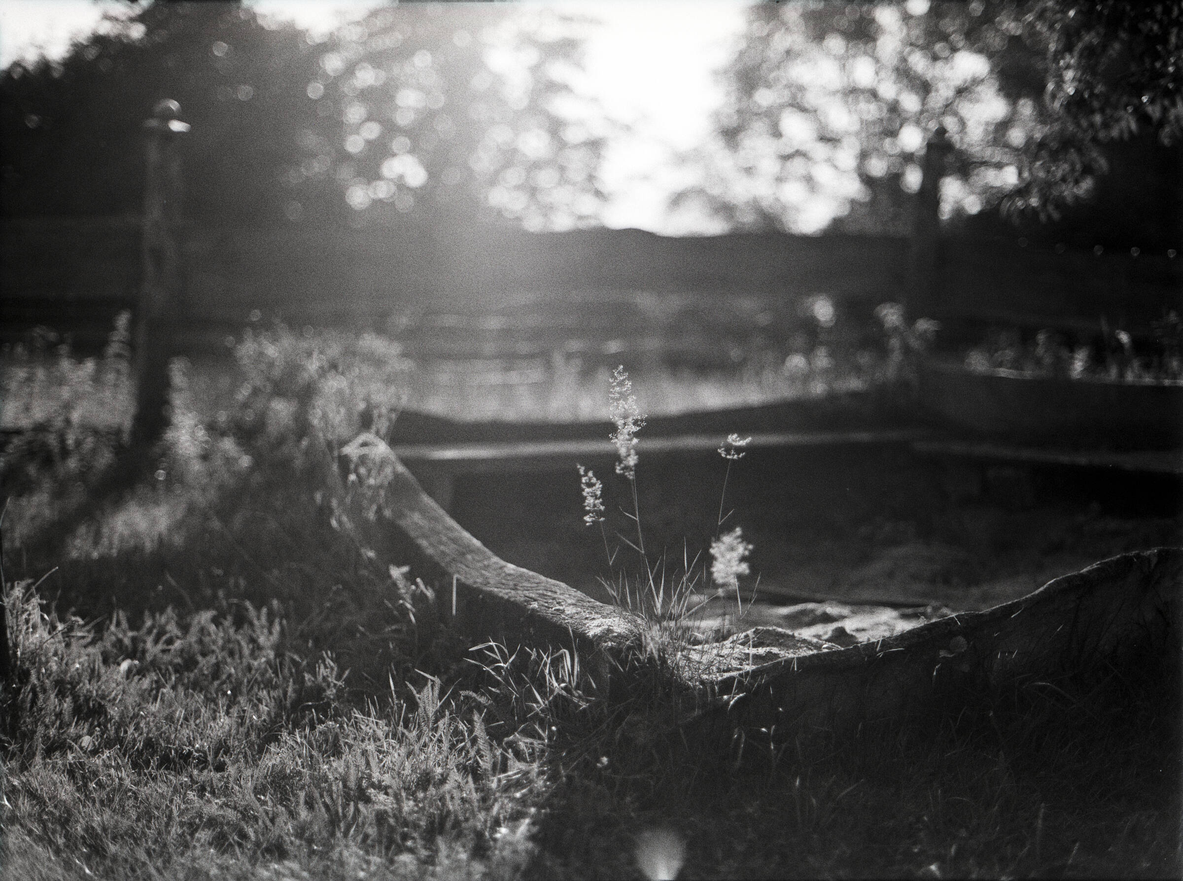 Mecklenburgische Seenplatte
