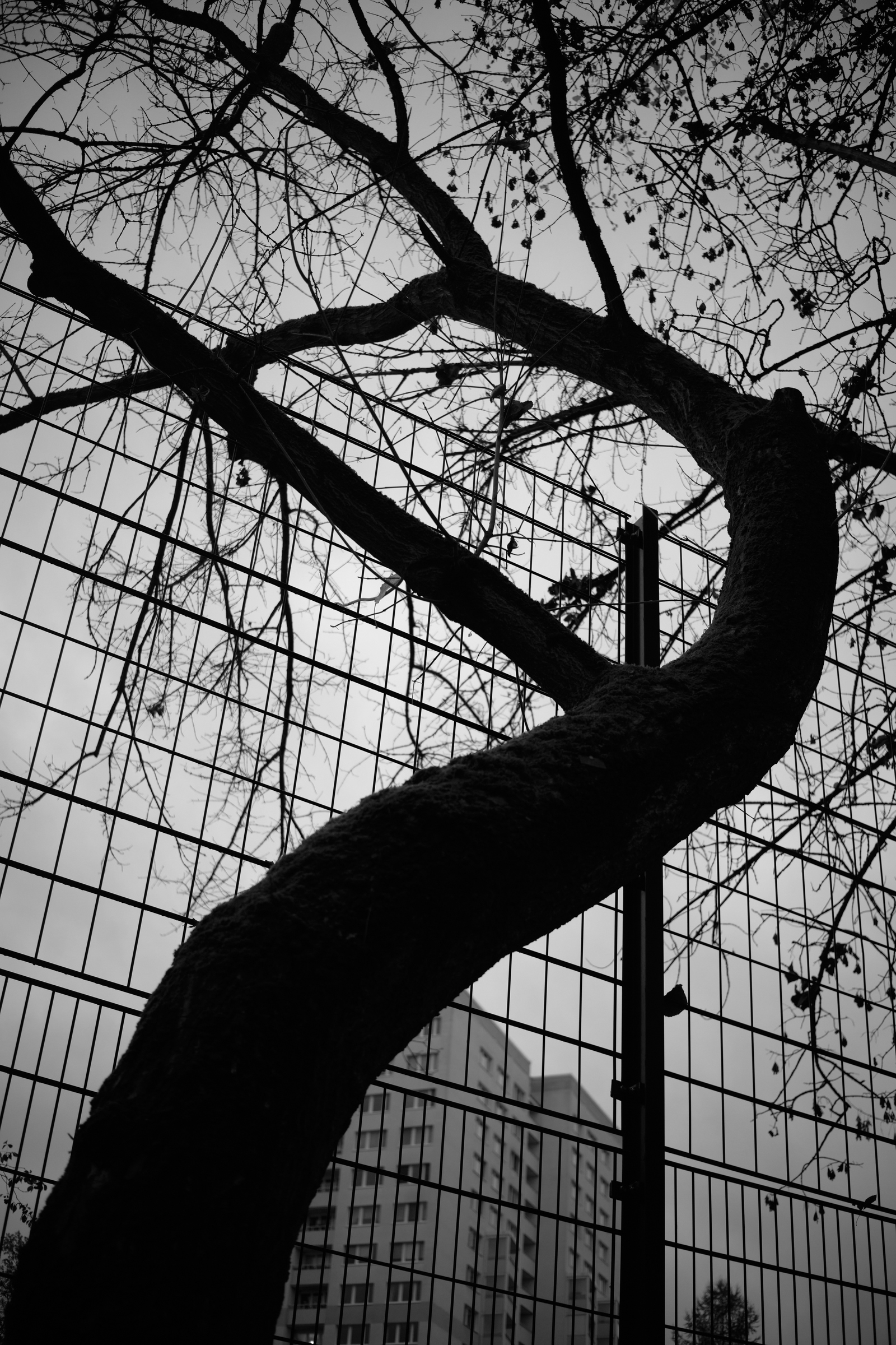 Twisted
