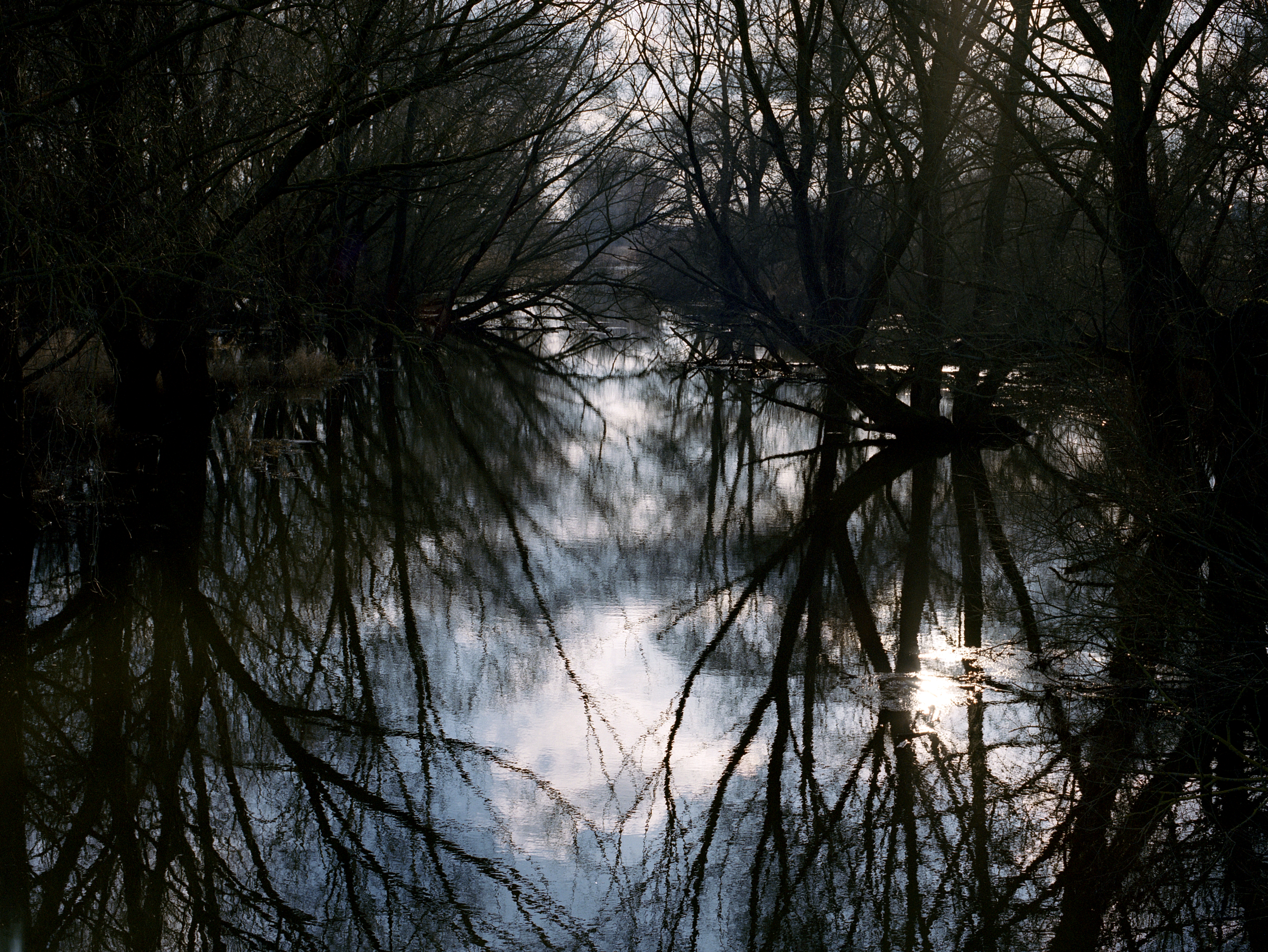 Licht und Bäume im Wasser