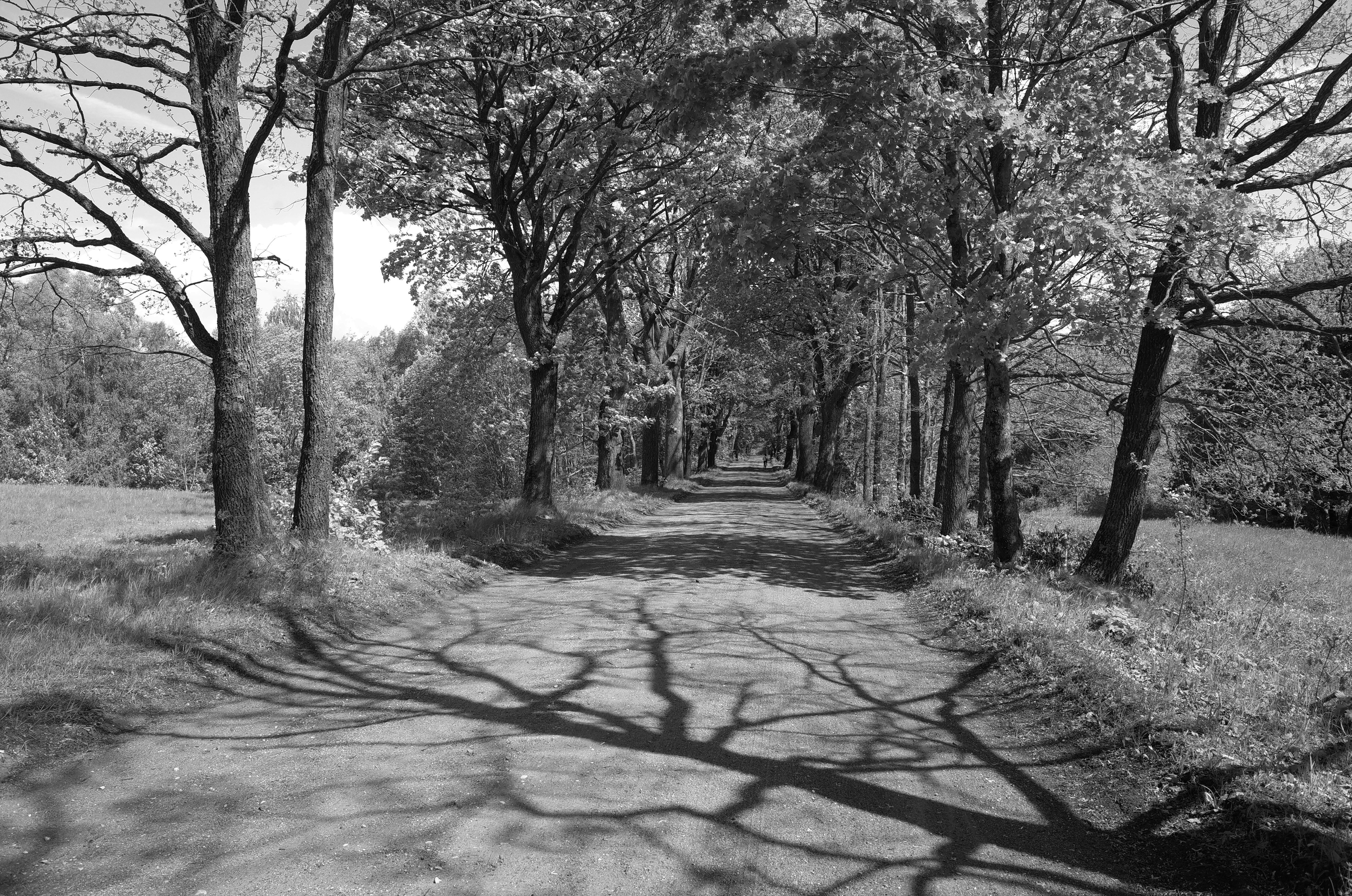 Masurische Allee