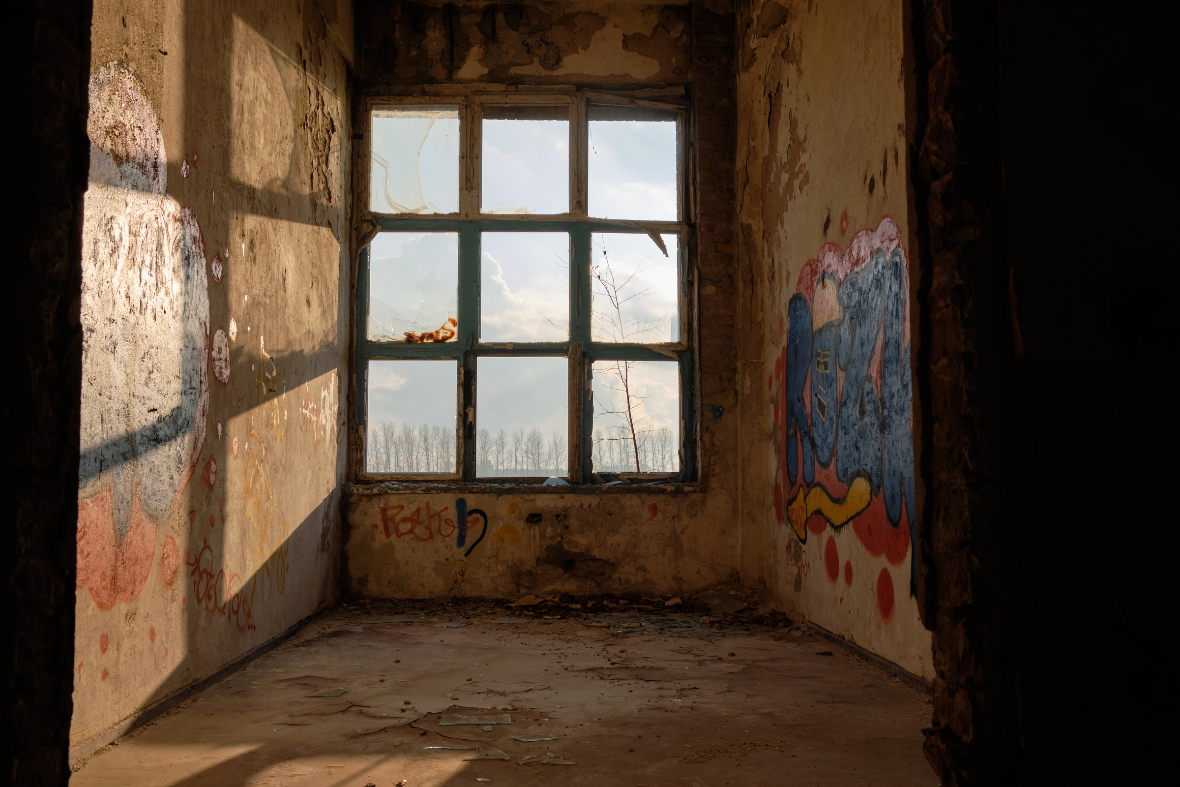 Through the Windows I