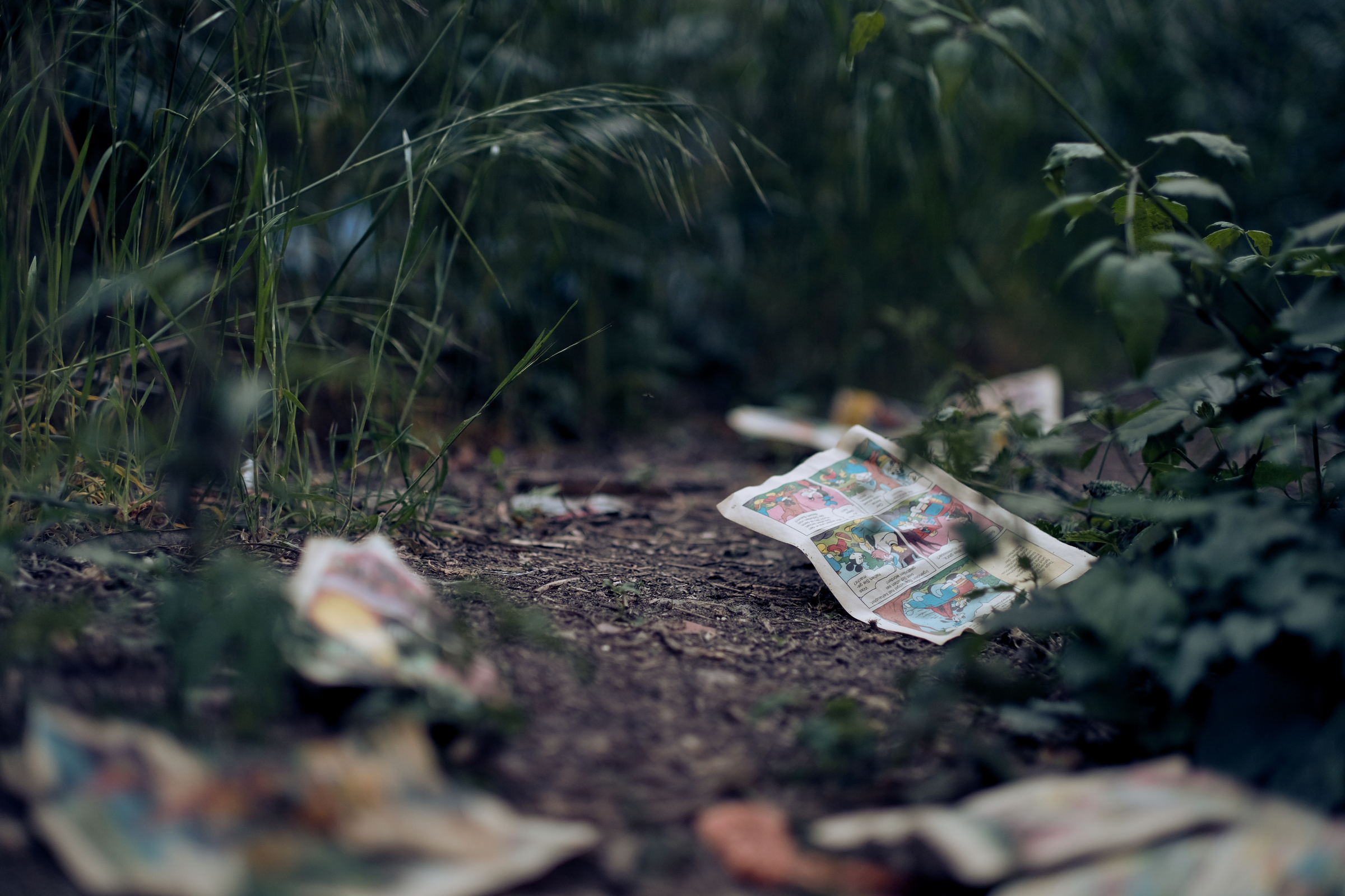 Scattered Pages