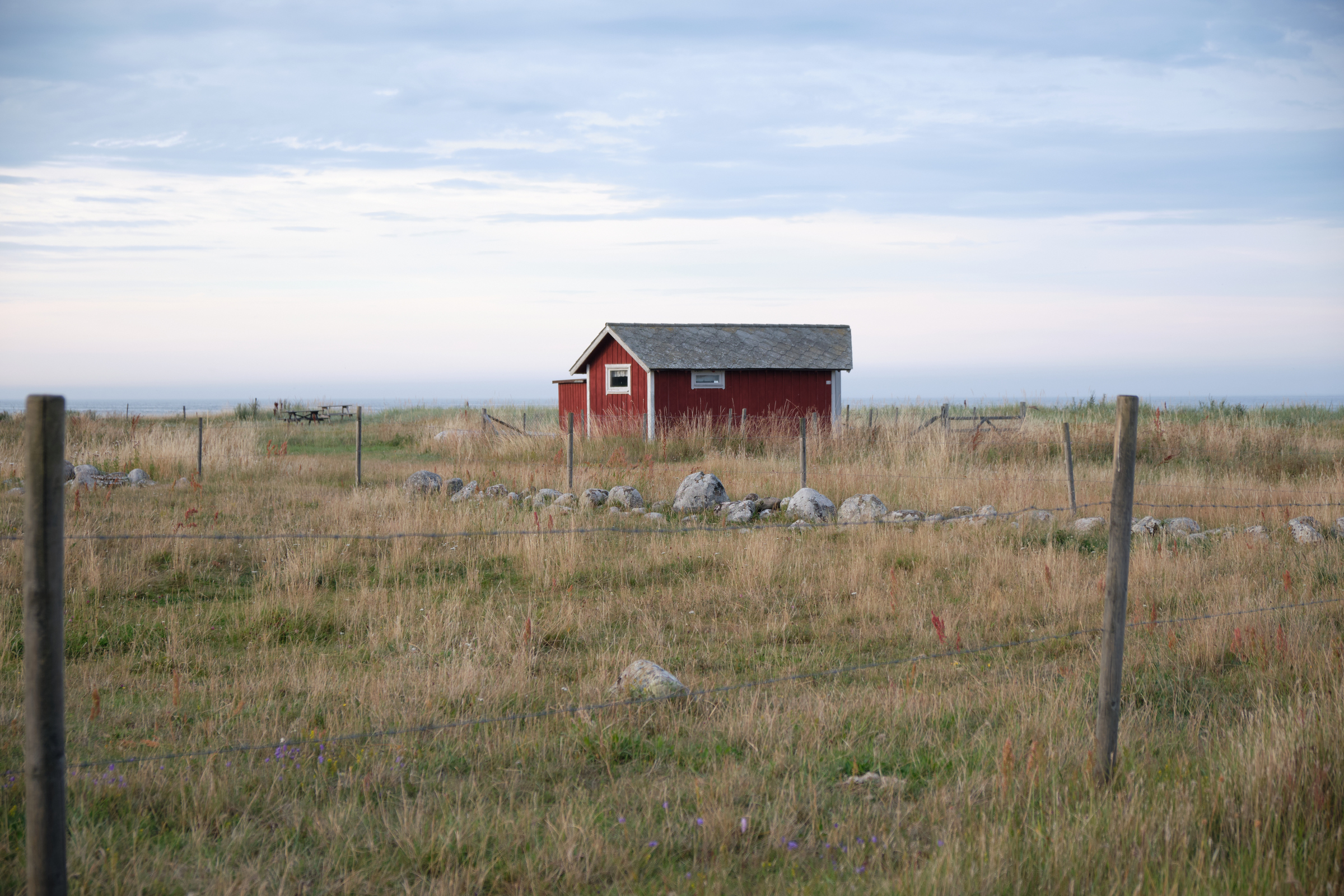 Lonely Hut
