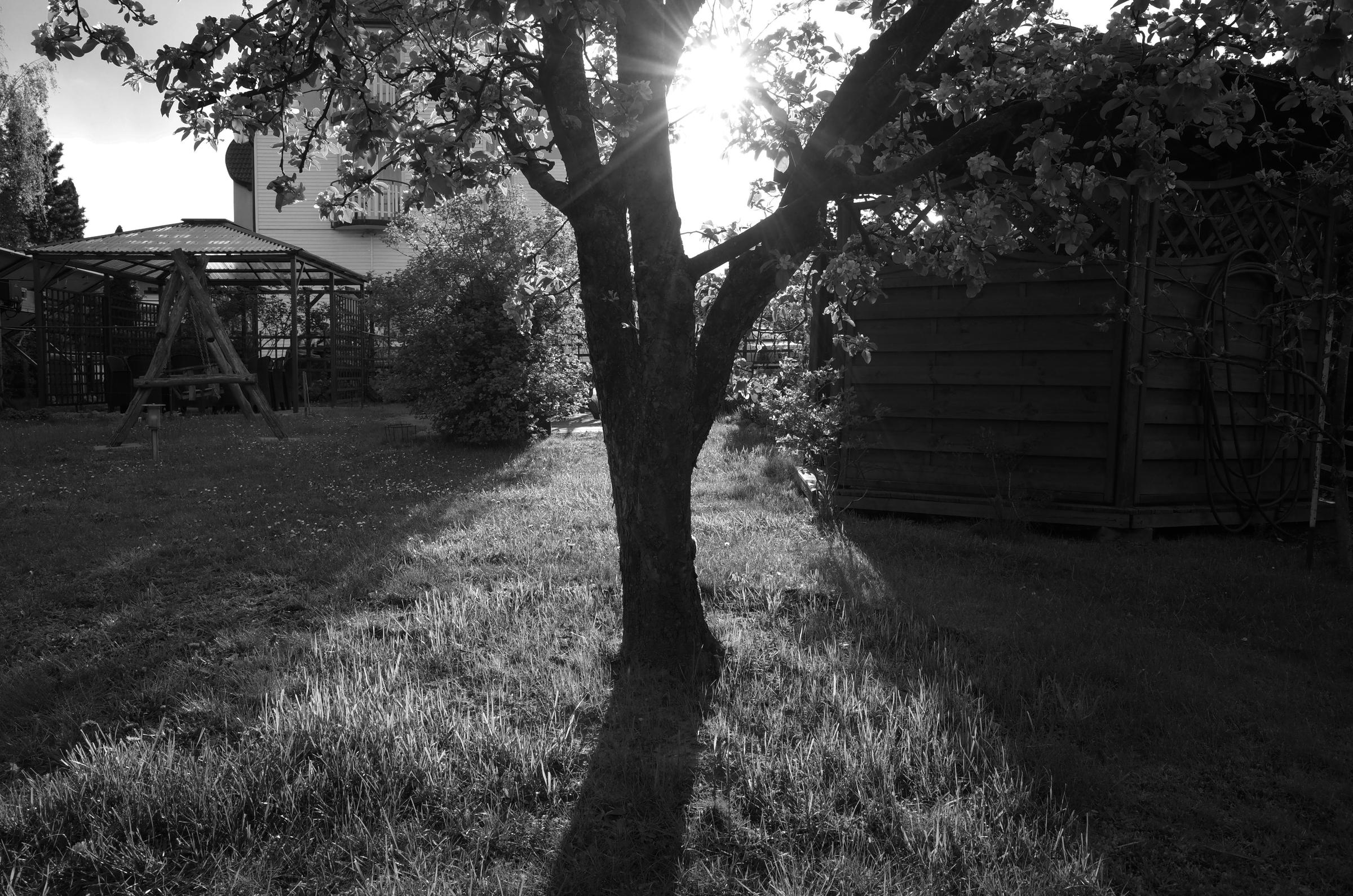 Garten in Danzig
