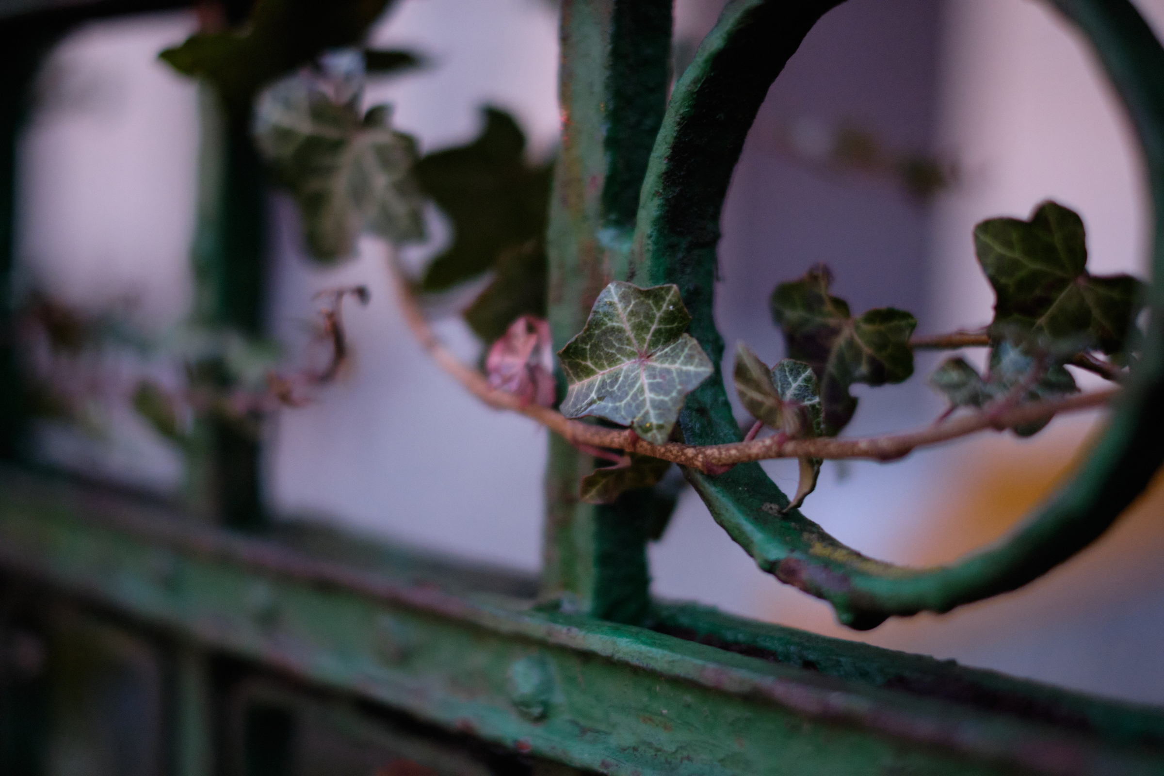 On The Fence II