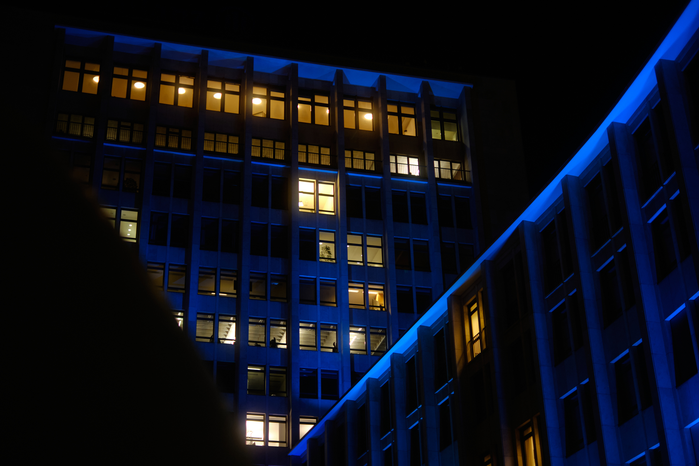 Blue Walls, Yellow Windows